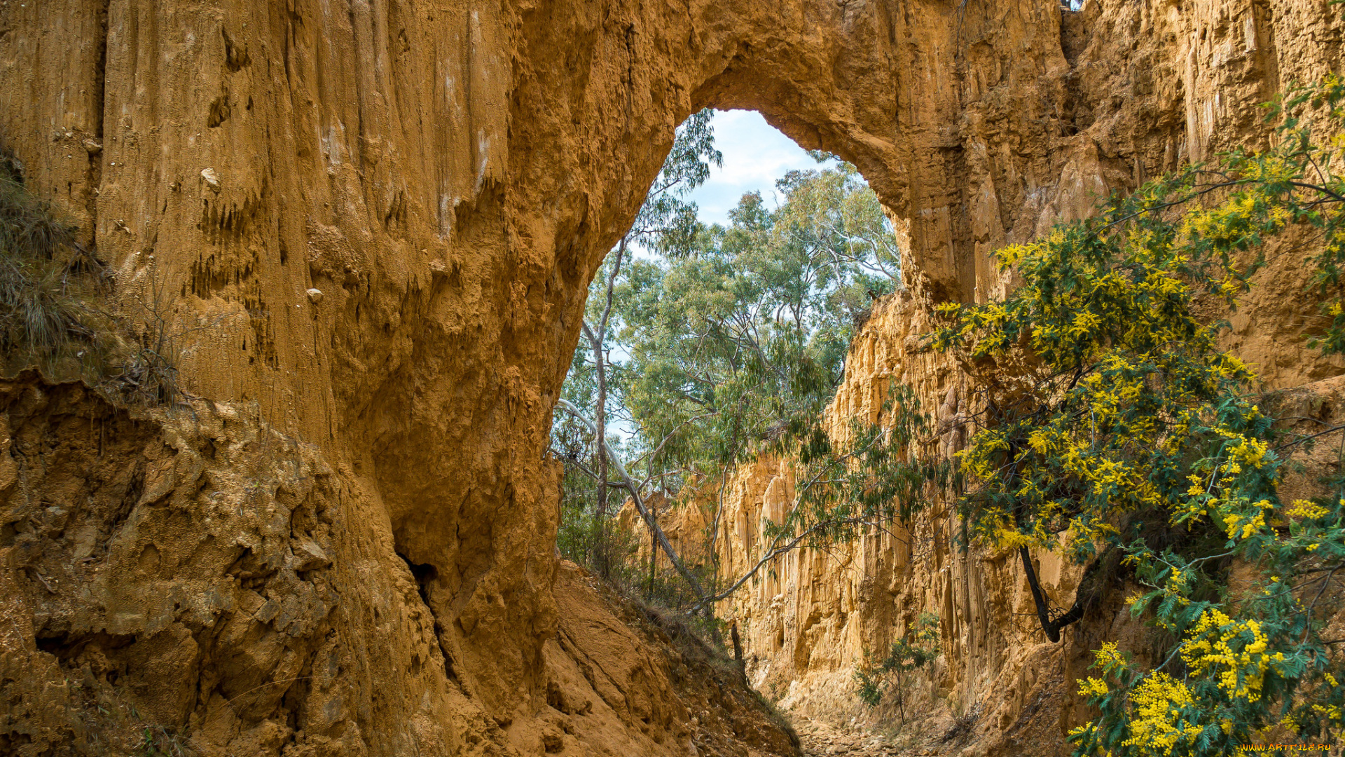 природа, горы, простор