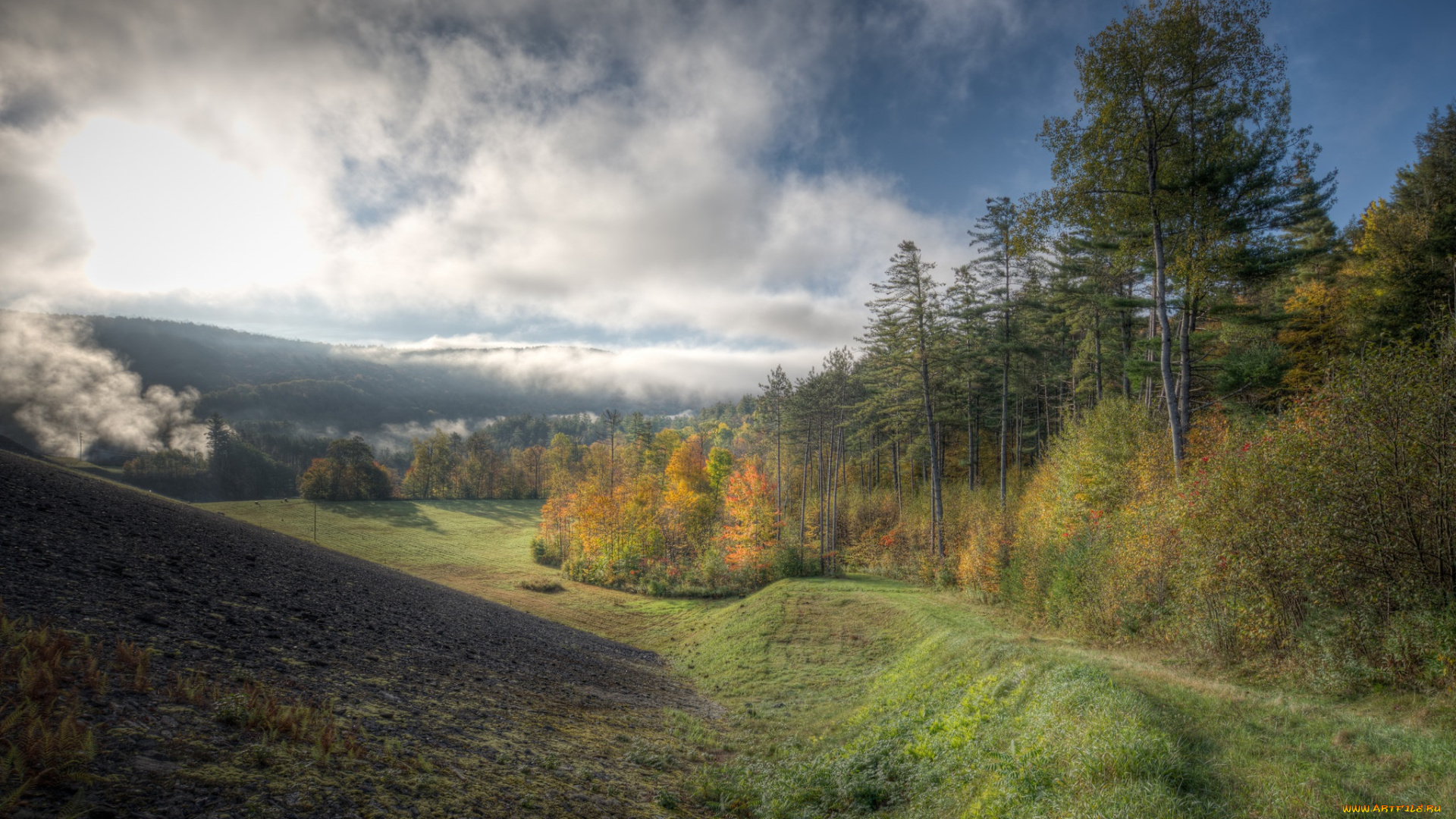природа, пейзажи, река, лес