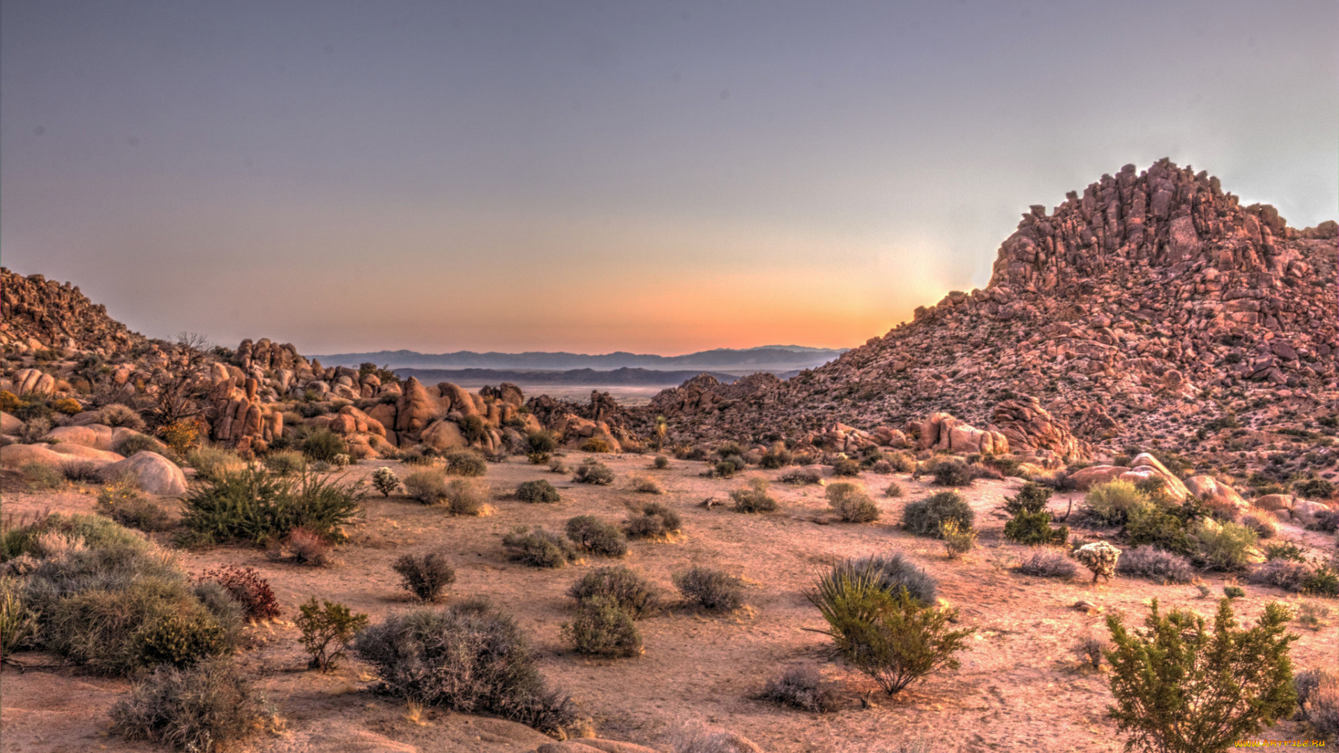 природа, пустыни, простор