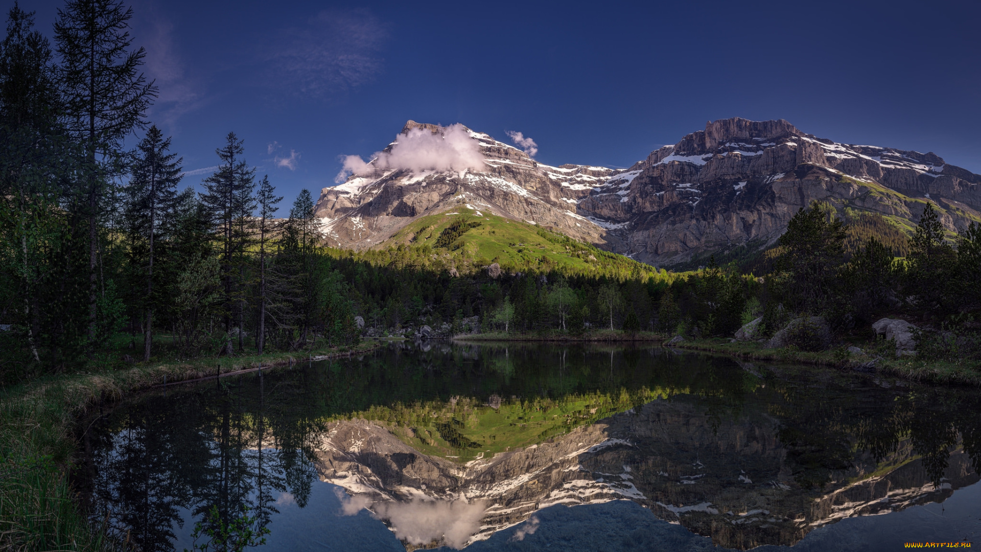 природа, реки, озера, лес, река