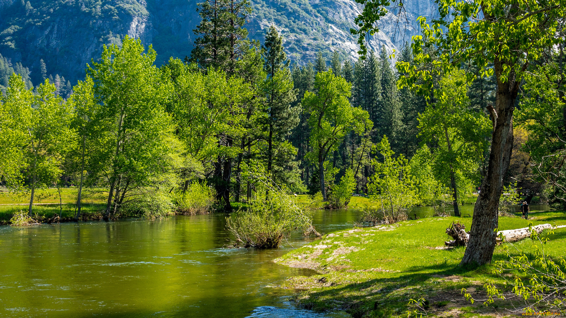 природа, реки, озера, простор