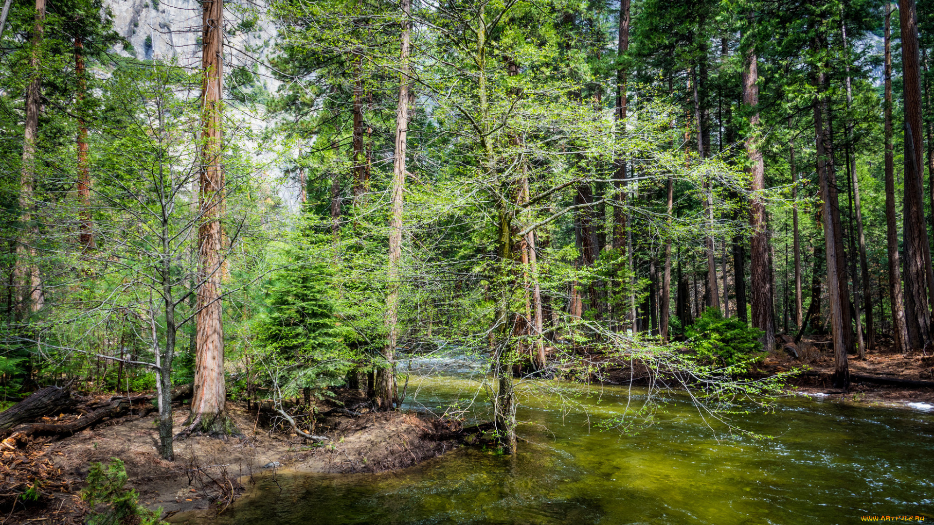 природа, реки, озера, простор