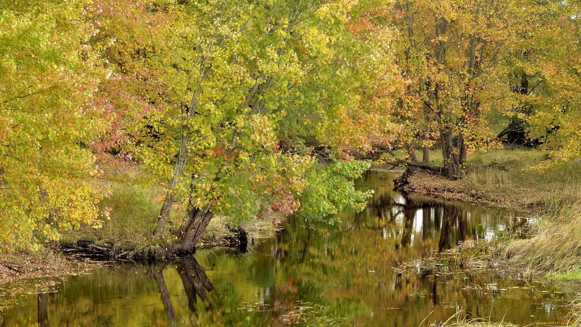 природа, реки, озера, простор
