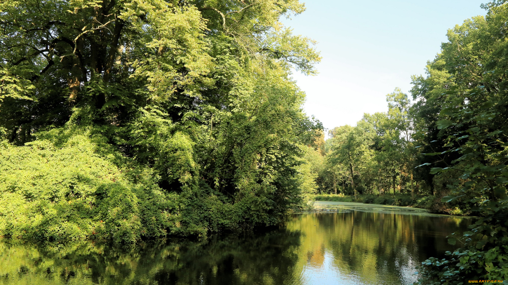 природа, реки, озера, простор