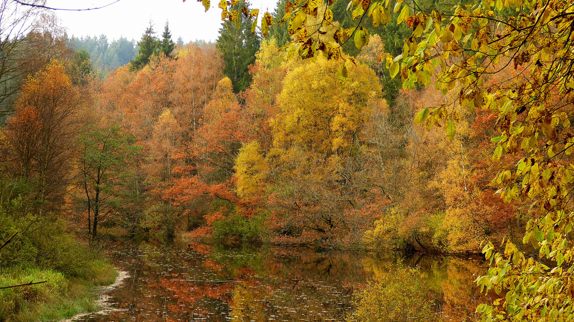 природа, реки, озера, простор