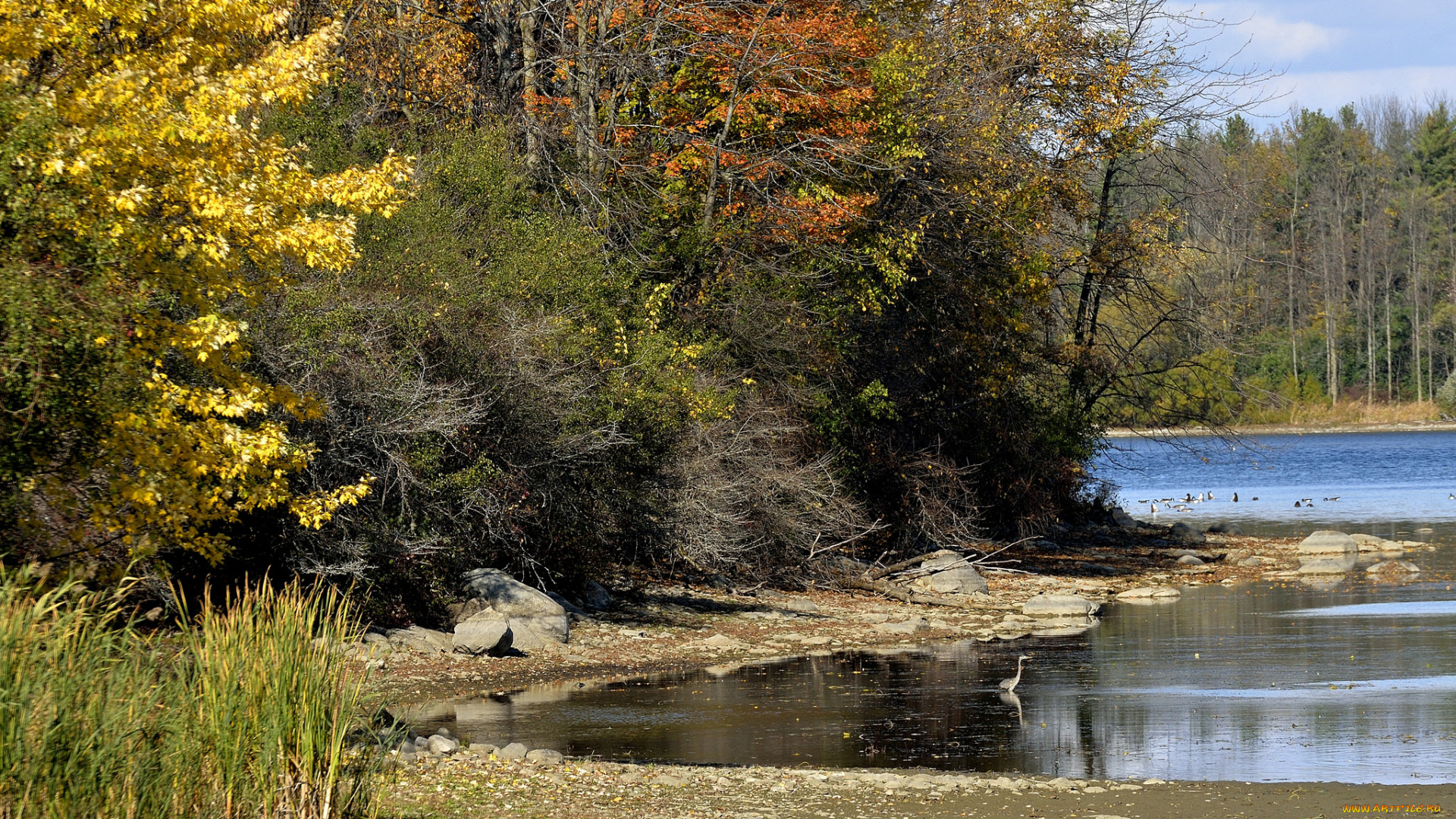природа, реки, озера, простор
