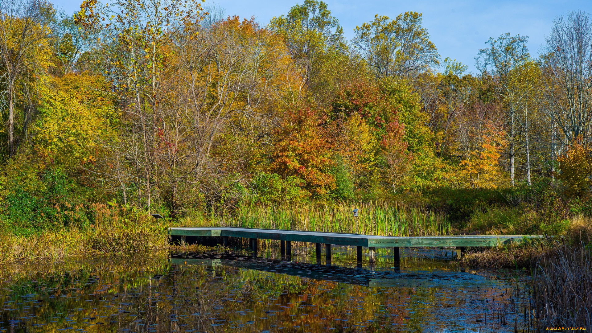 природа, реки, озера, простор