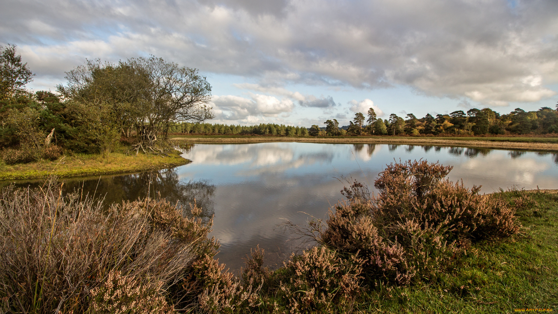 природа, реки, озера, простор