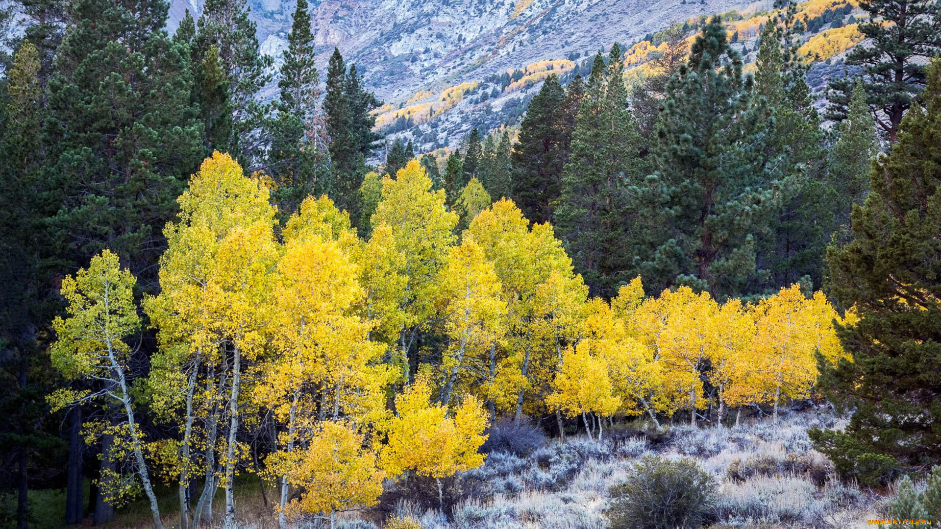 природа, реки, озера, простор