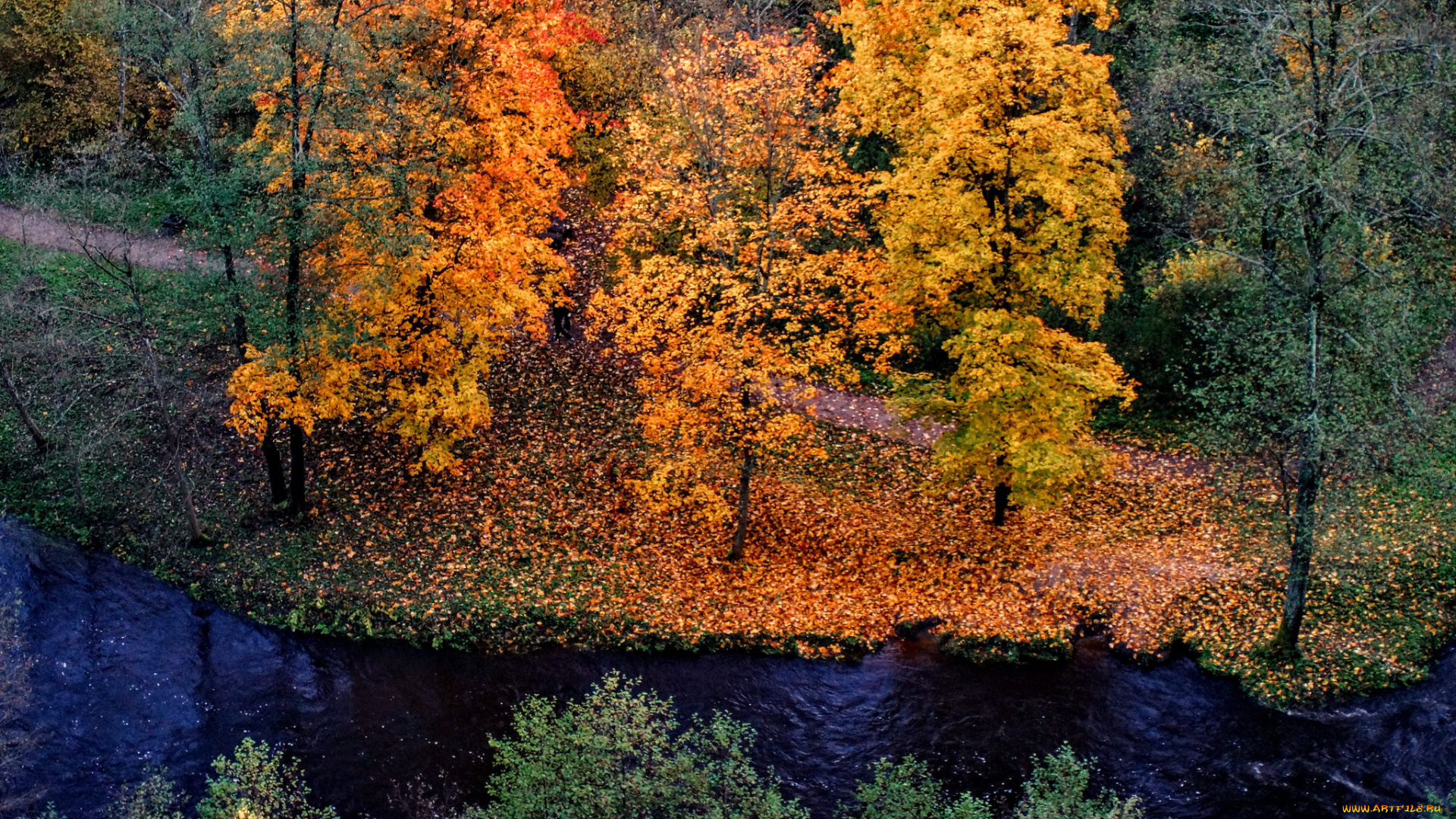 природа, реки, озера, простор