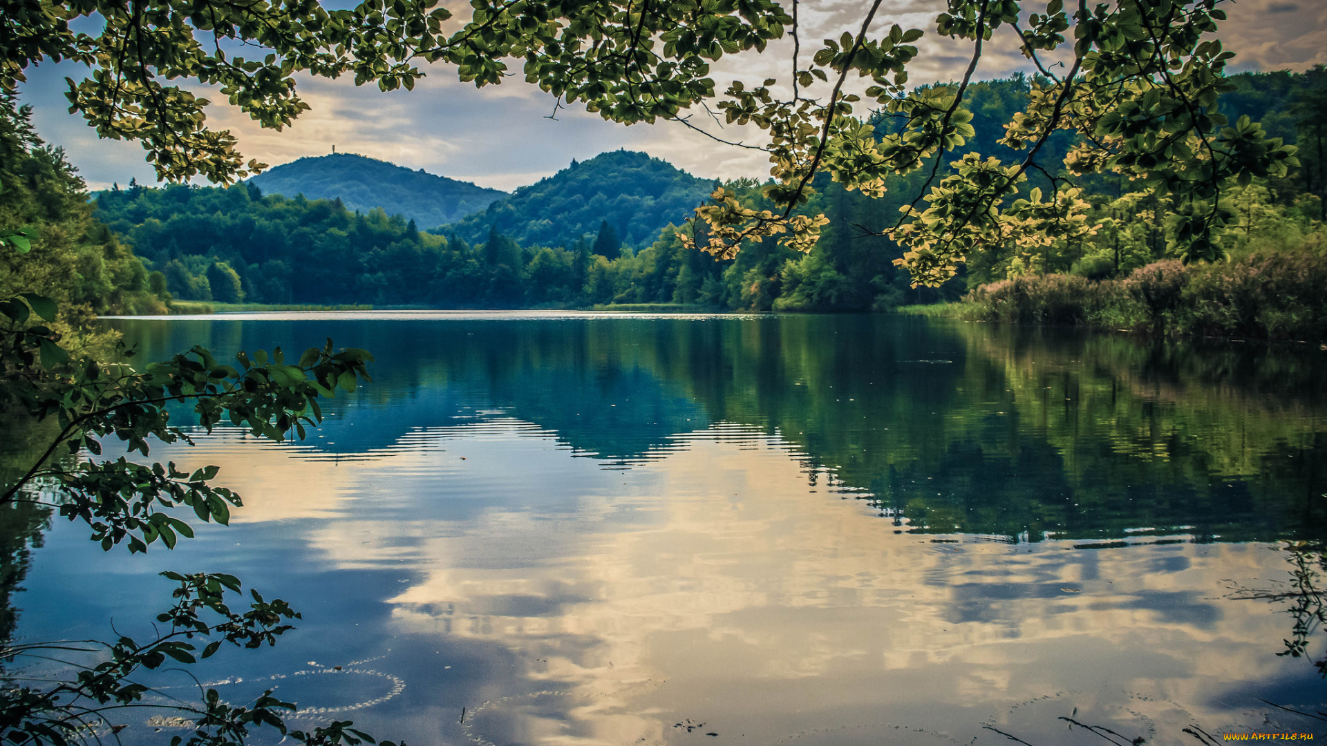 природа, реки, озера, простор