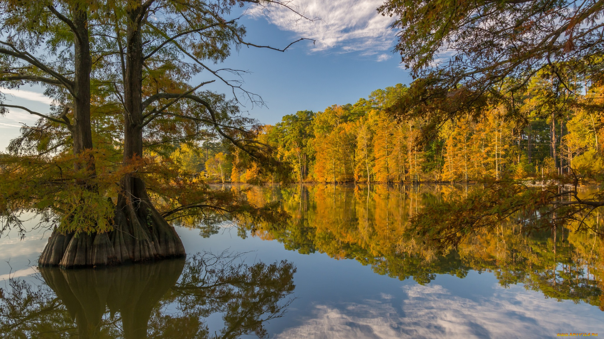 природа, реки, озера, простор