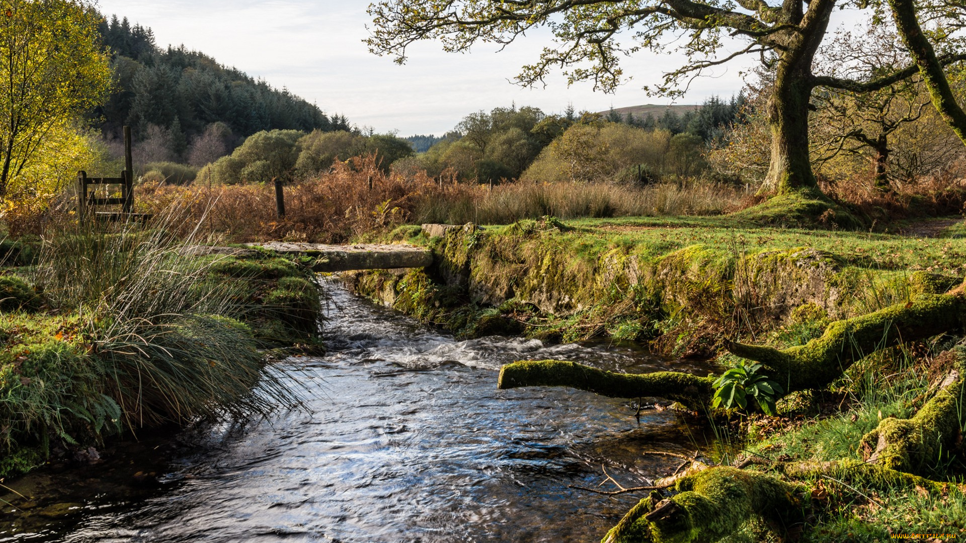природа, реки, озера, простор