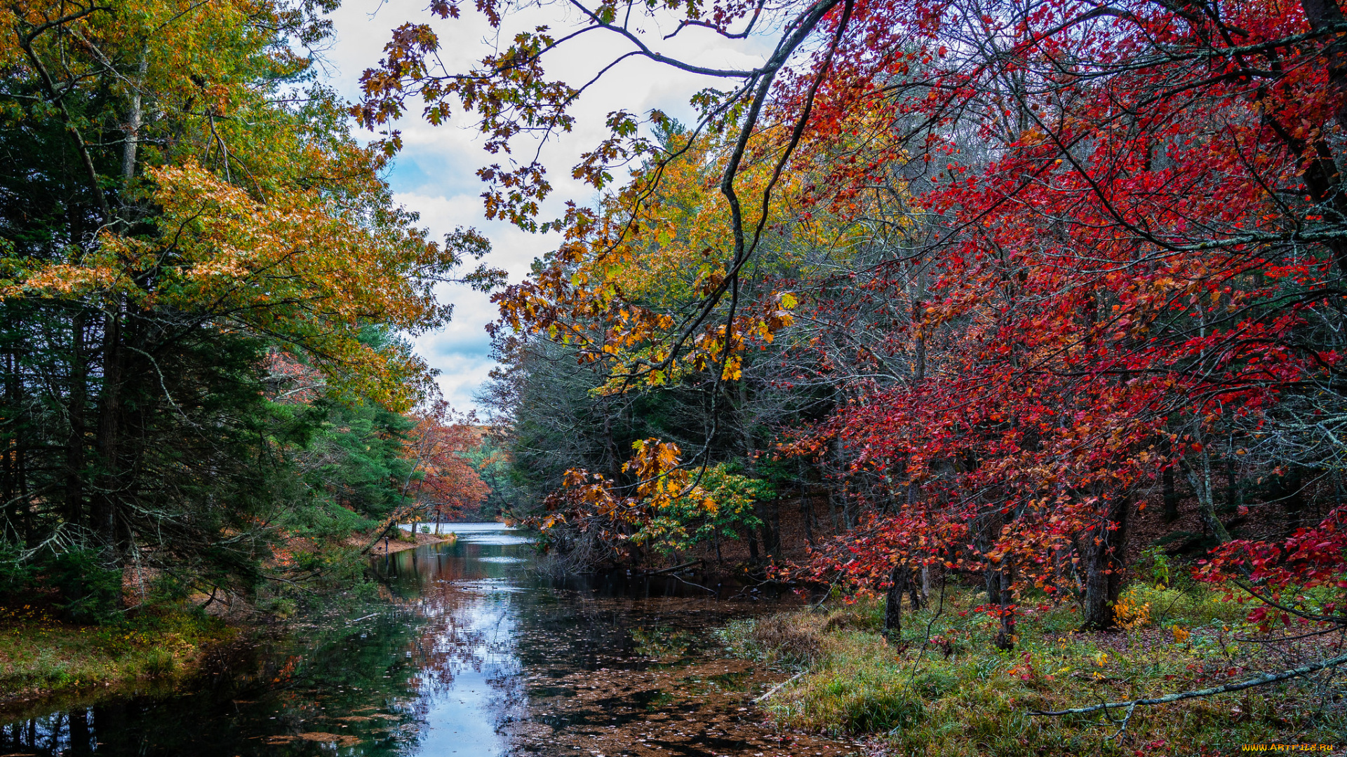природа, реки, озера, простор