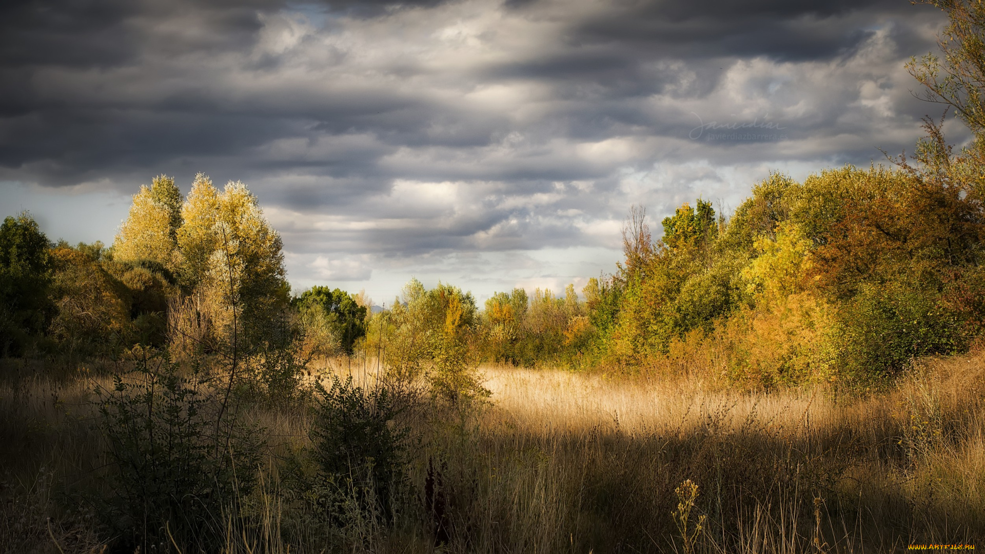 природа, реки, озера, простор