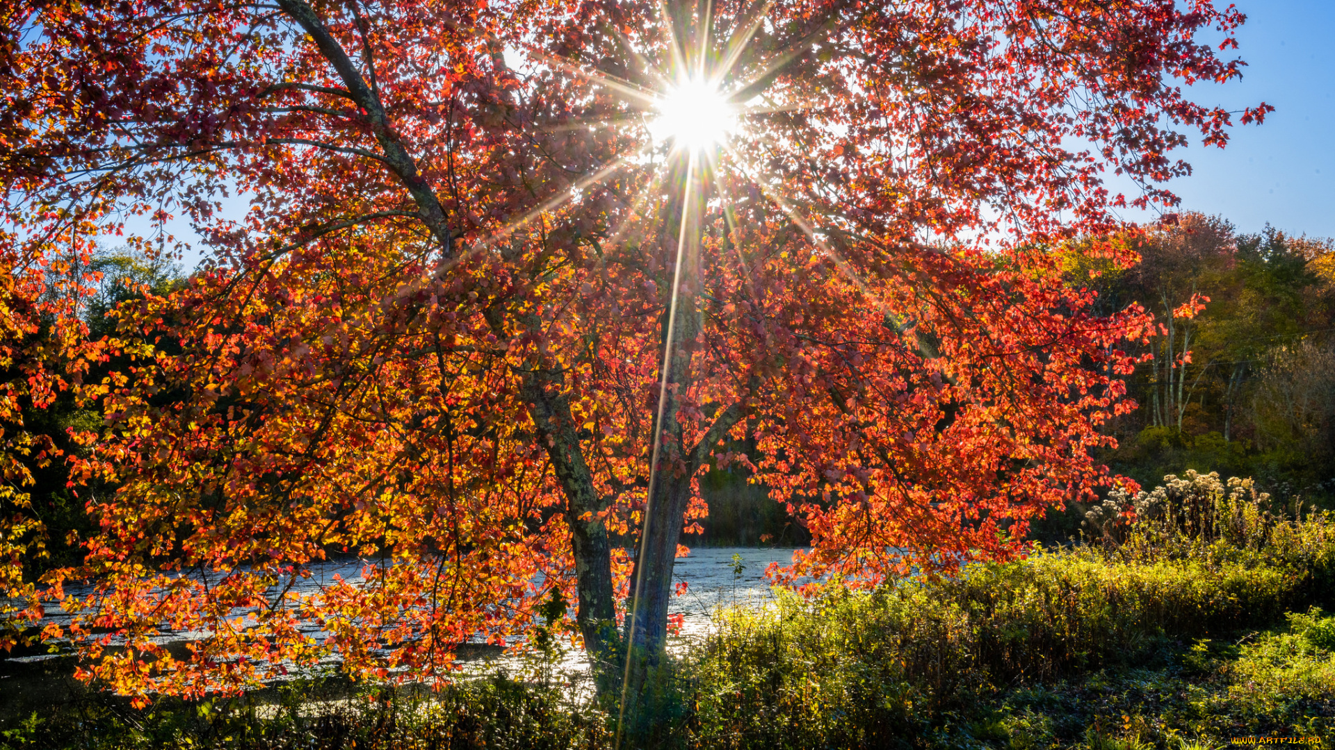 природа, восходы, закаты, простор