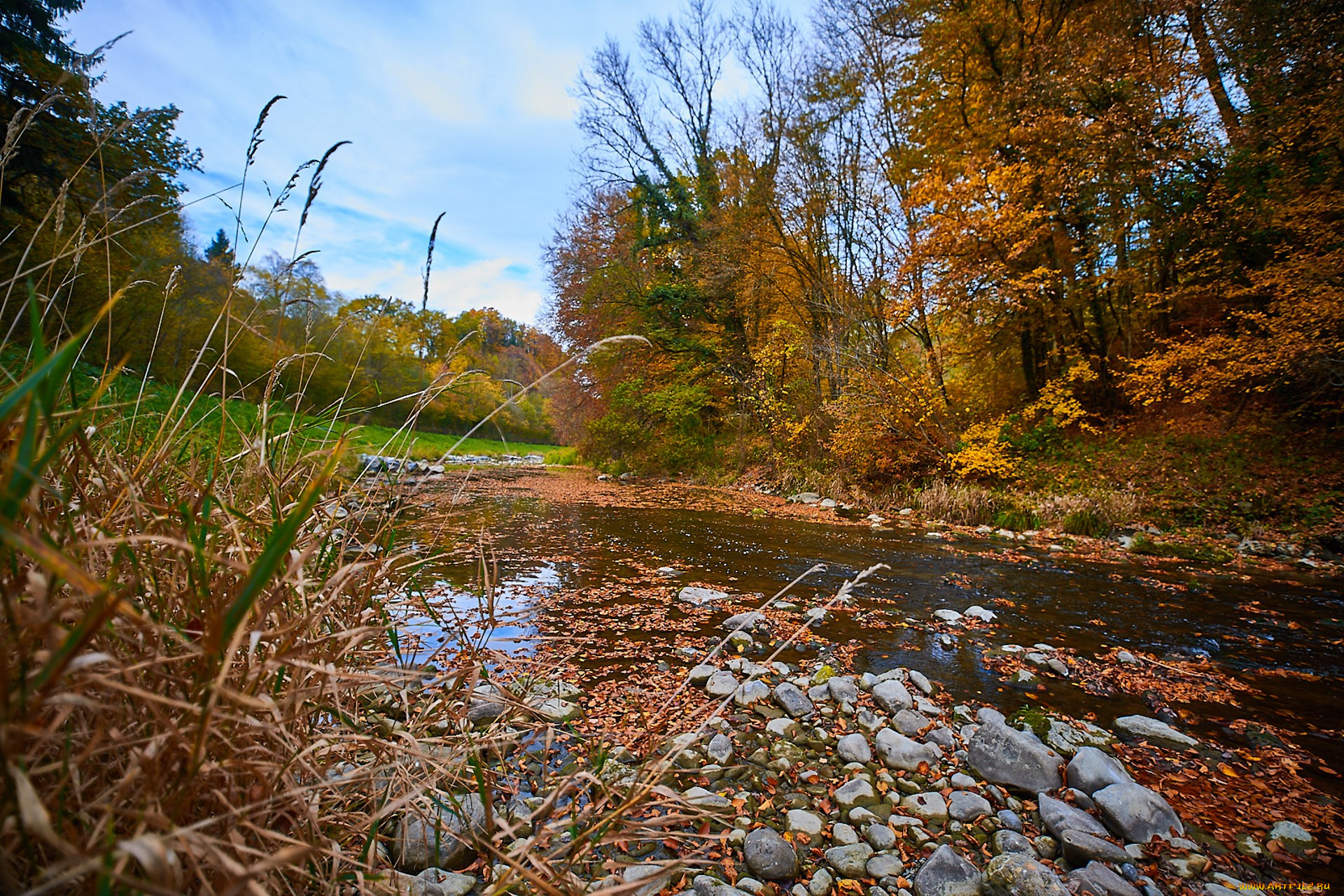природа, реки, озера, простор