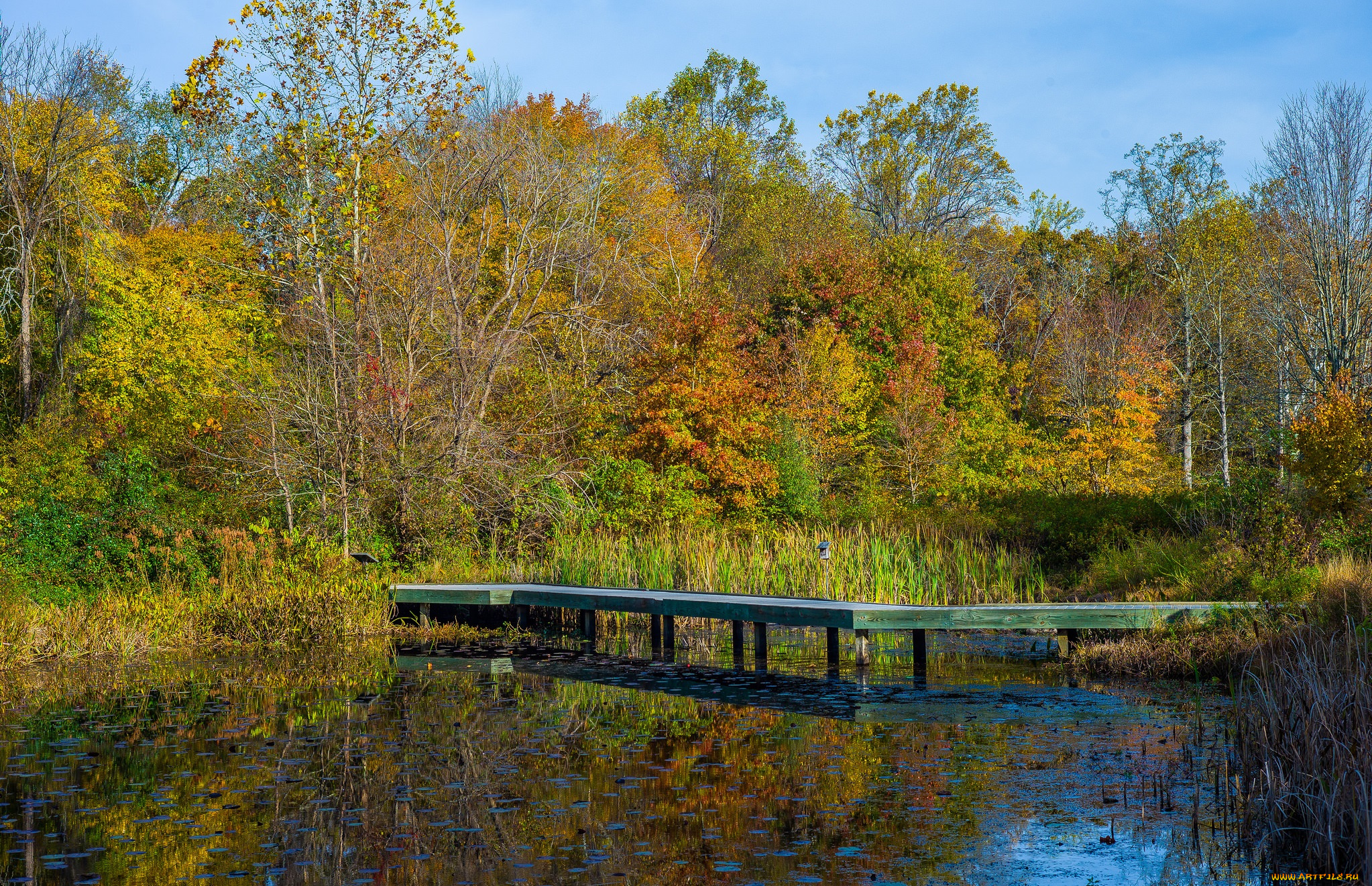 природа, реки, озера, простор