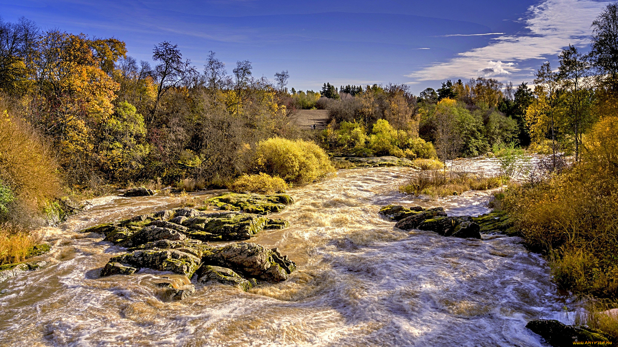 природа, реки, озера, река, лес