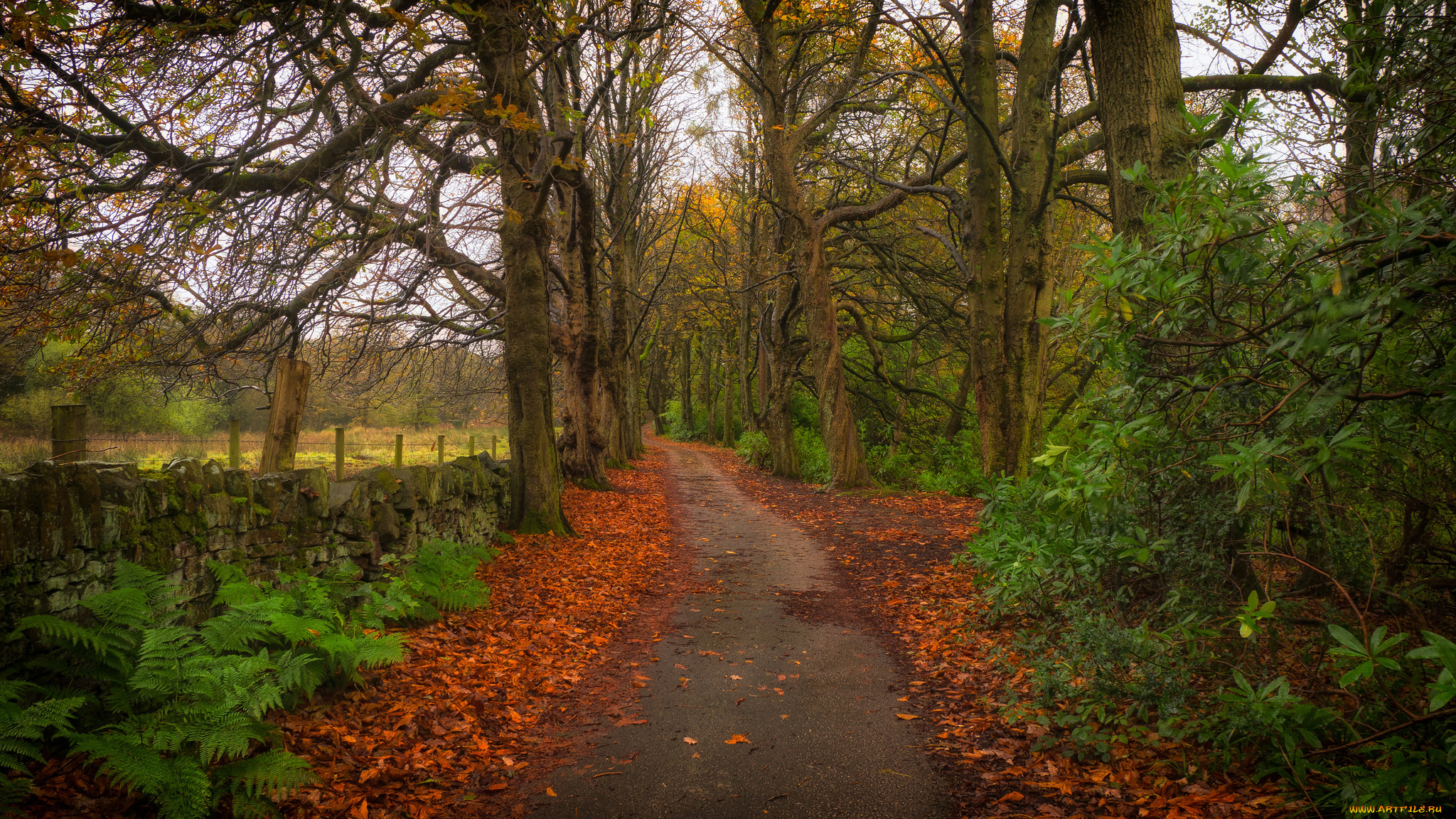 природа, дороги, простор