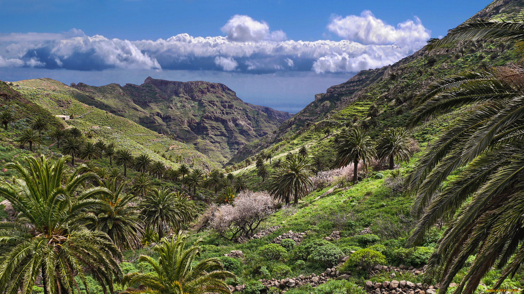 природа, горы, простор