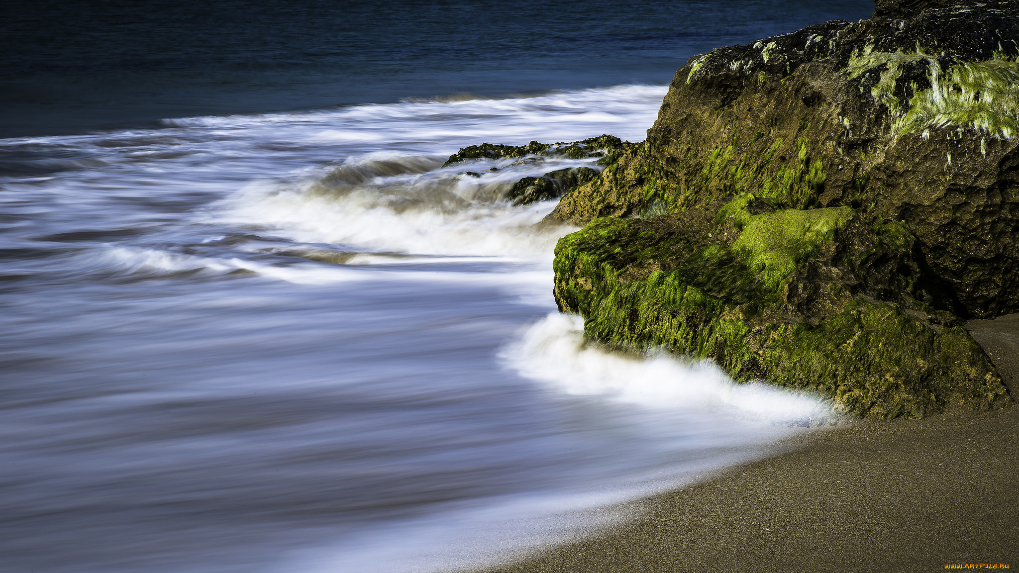 природа, побережье, река, лес