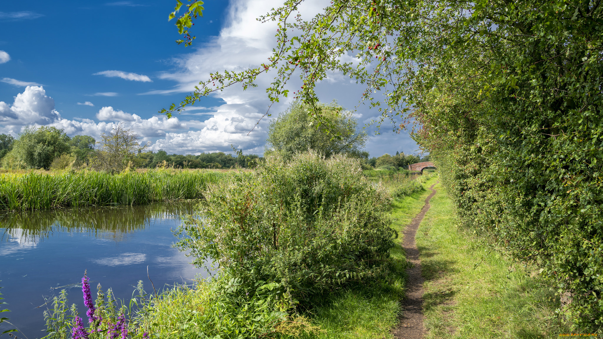 природа, реки, озера, простор