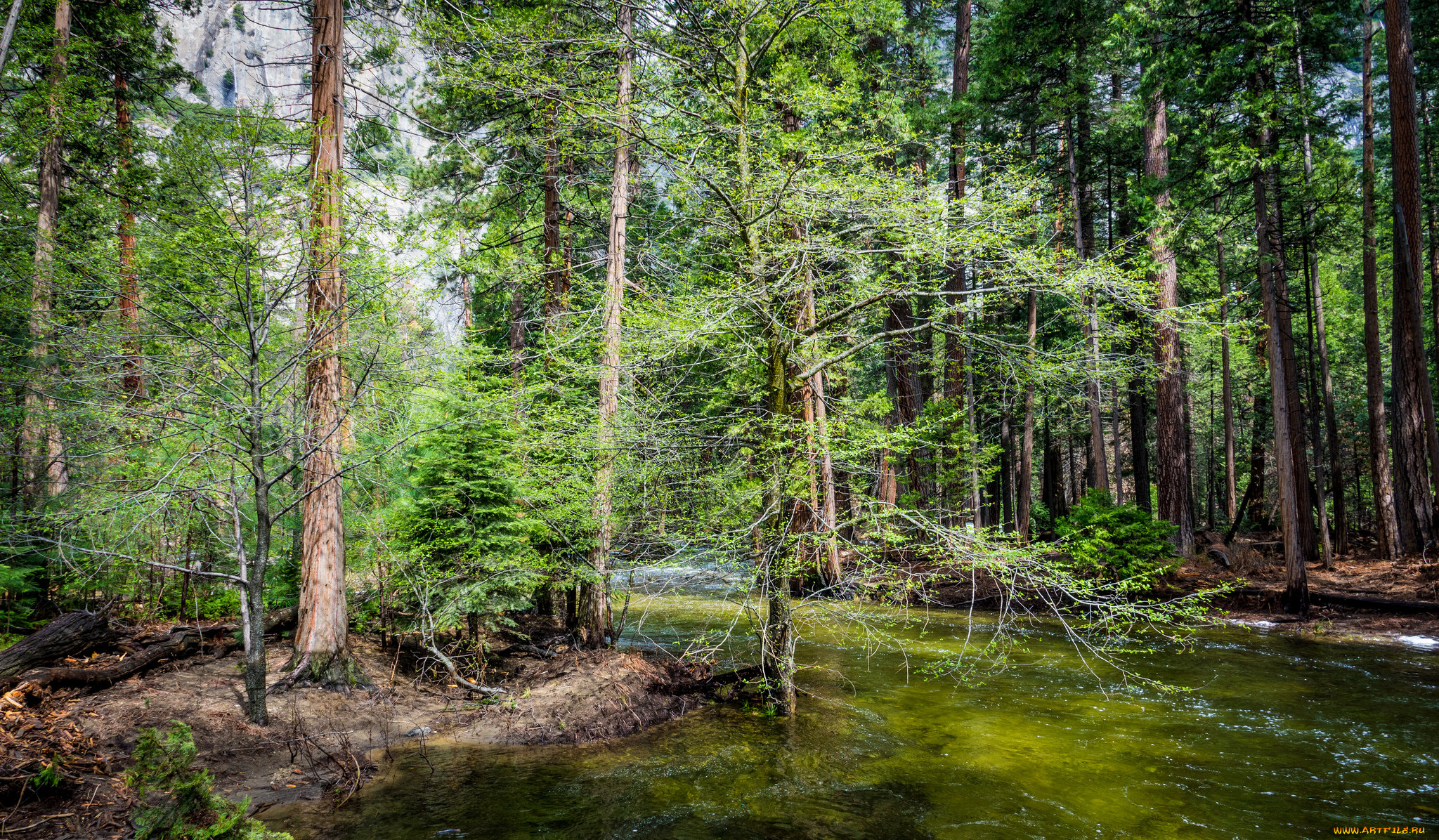 природа, реки, озера, простор