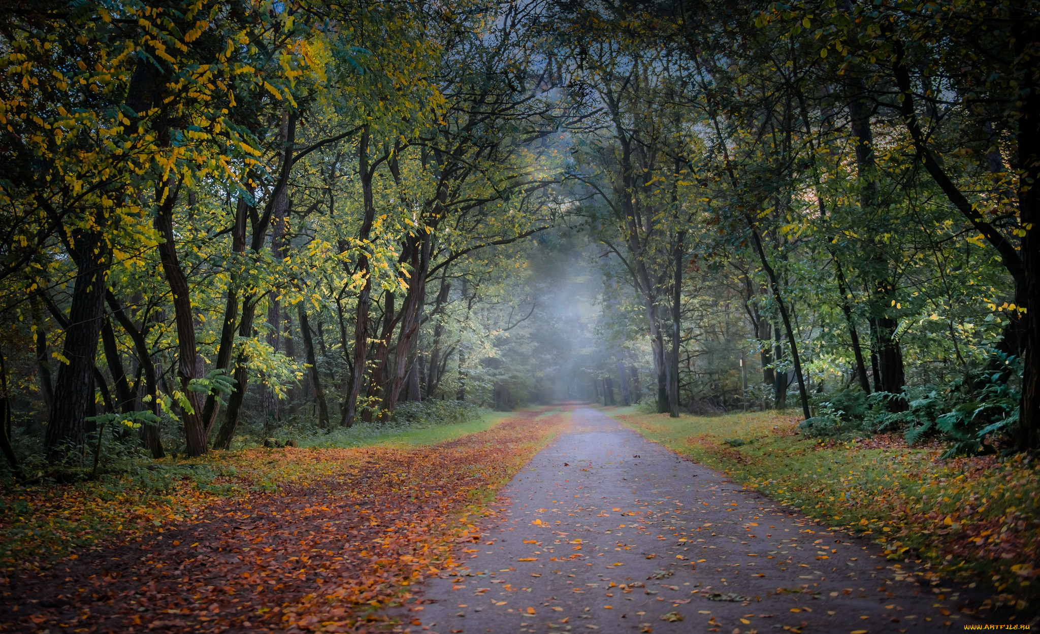 природа, дороги, простор