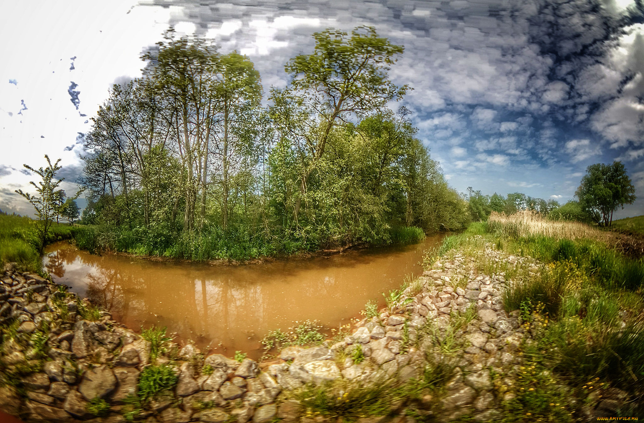 природа, реки, озера, река, лес