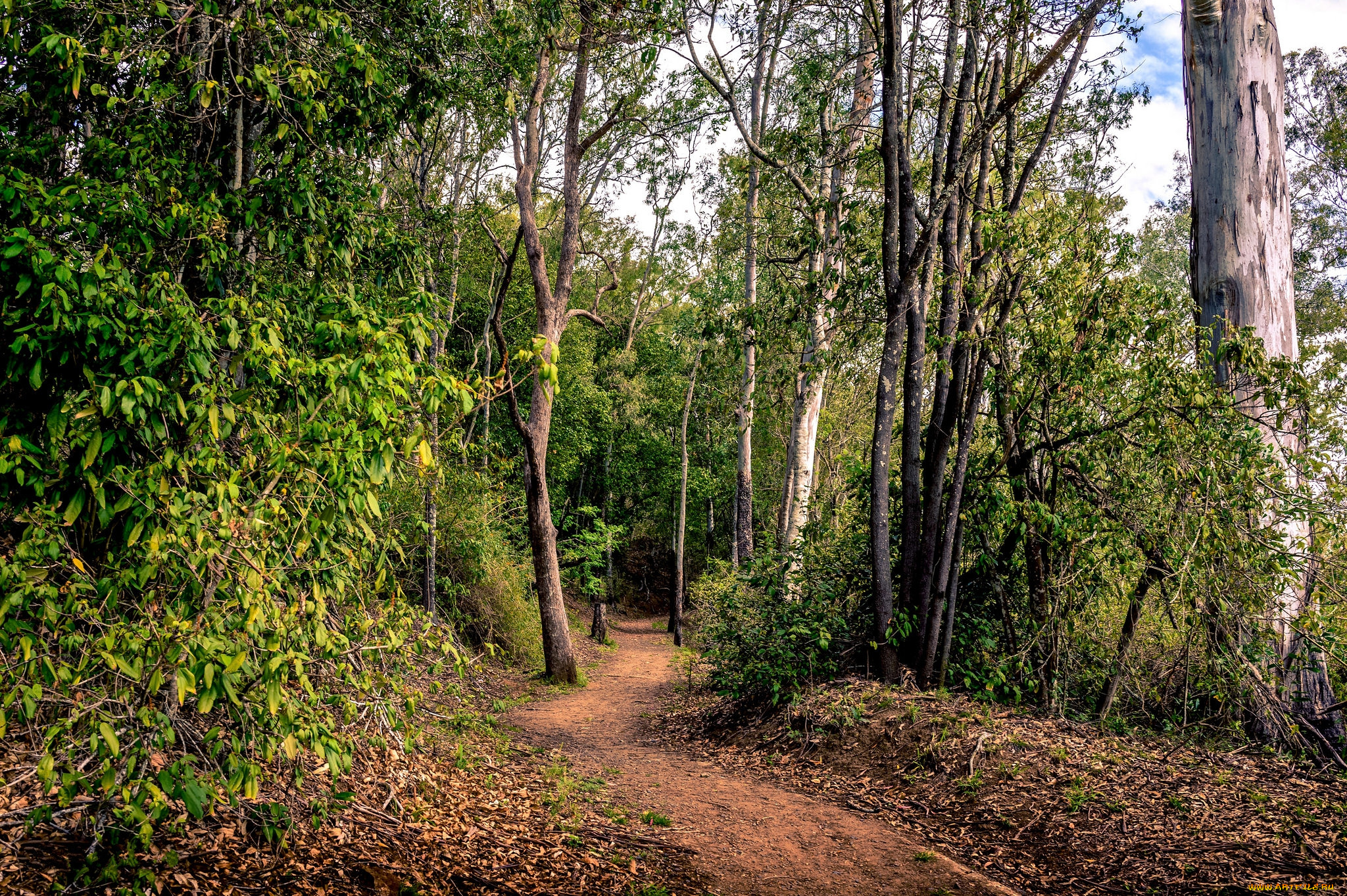 природа, дороги, простор