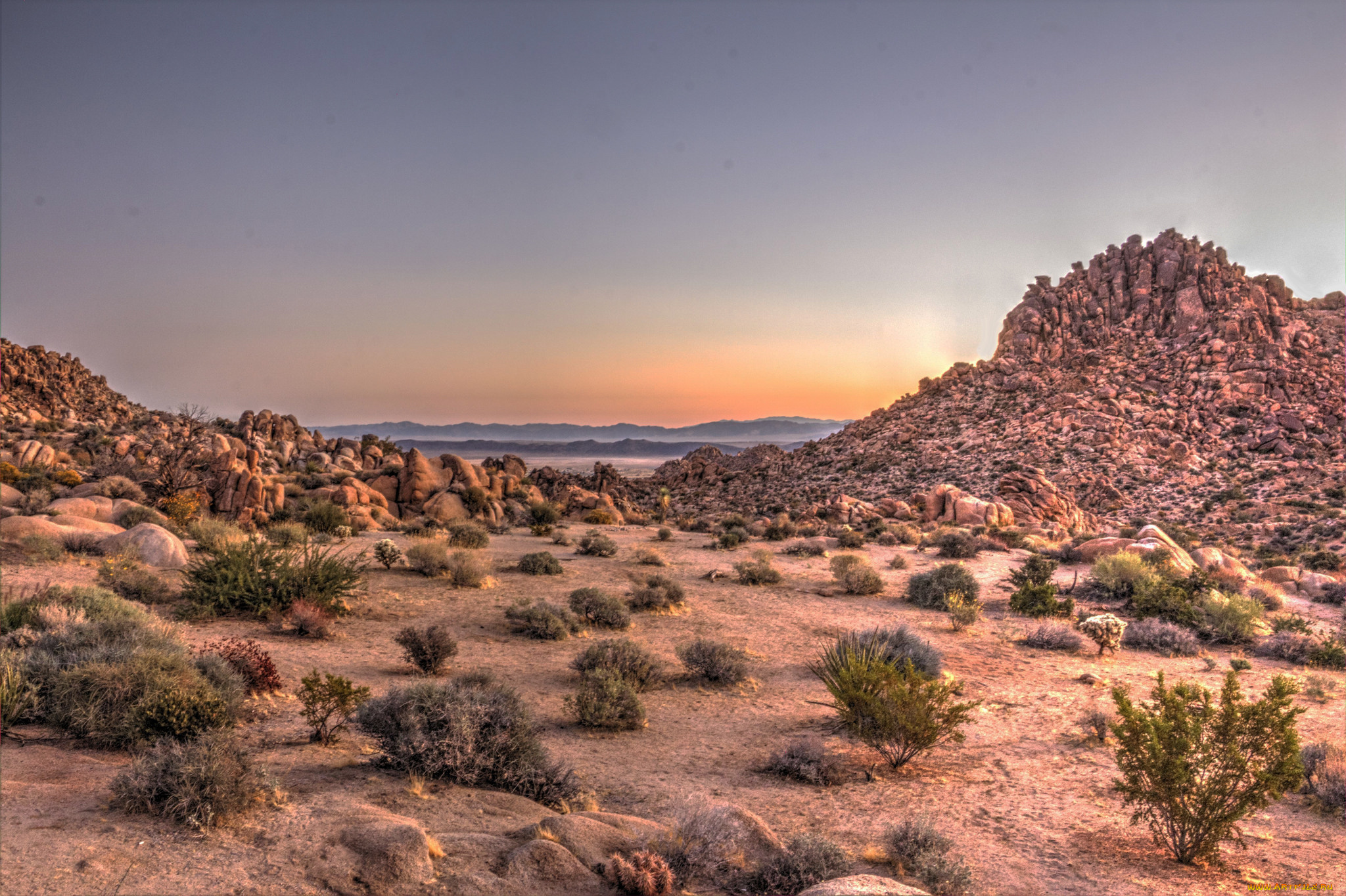 природа, пустыни, простор