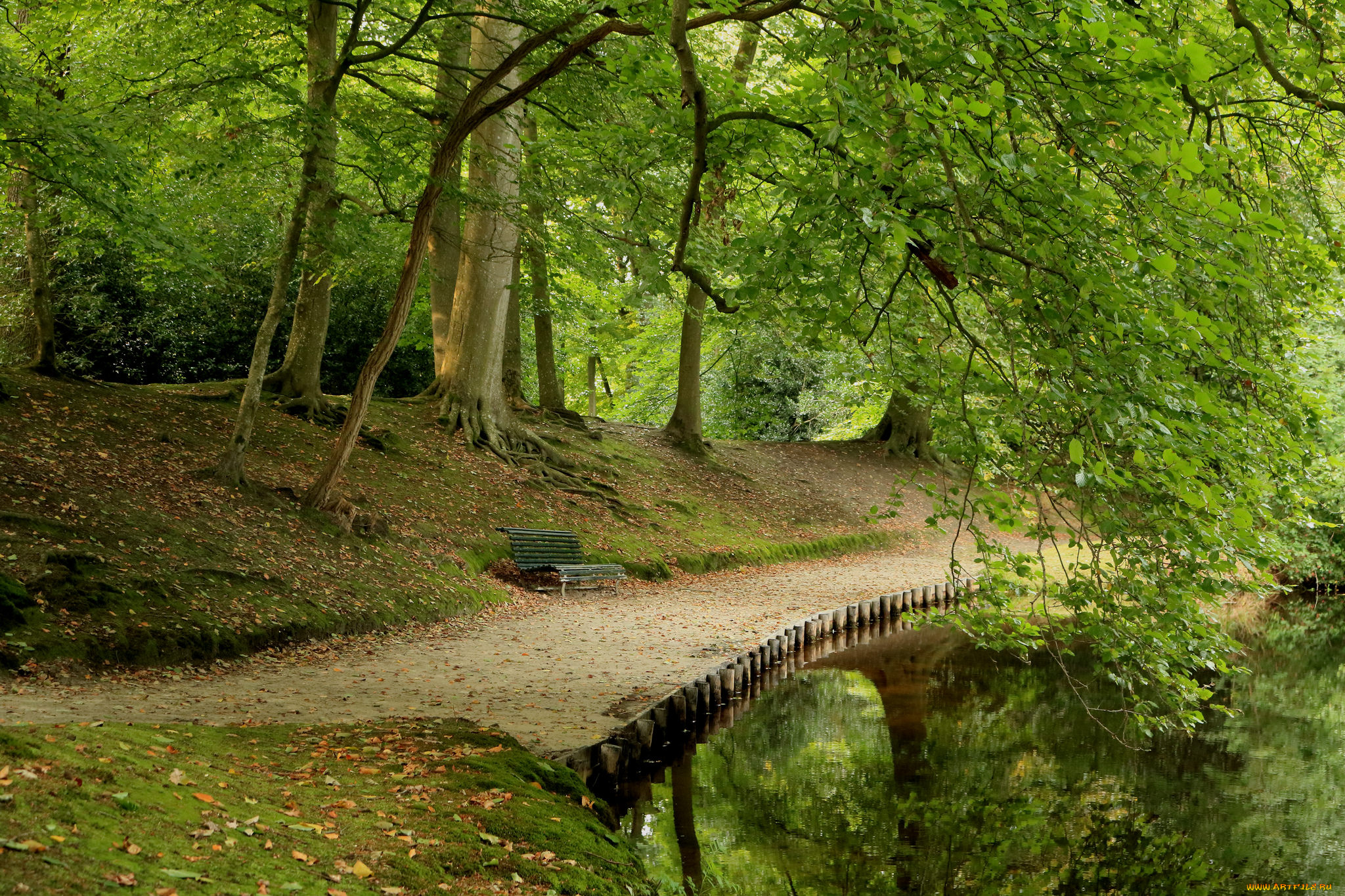 природа, дороги, простор