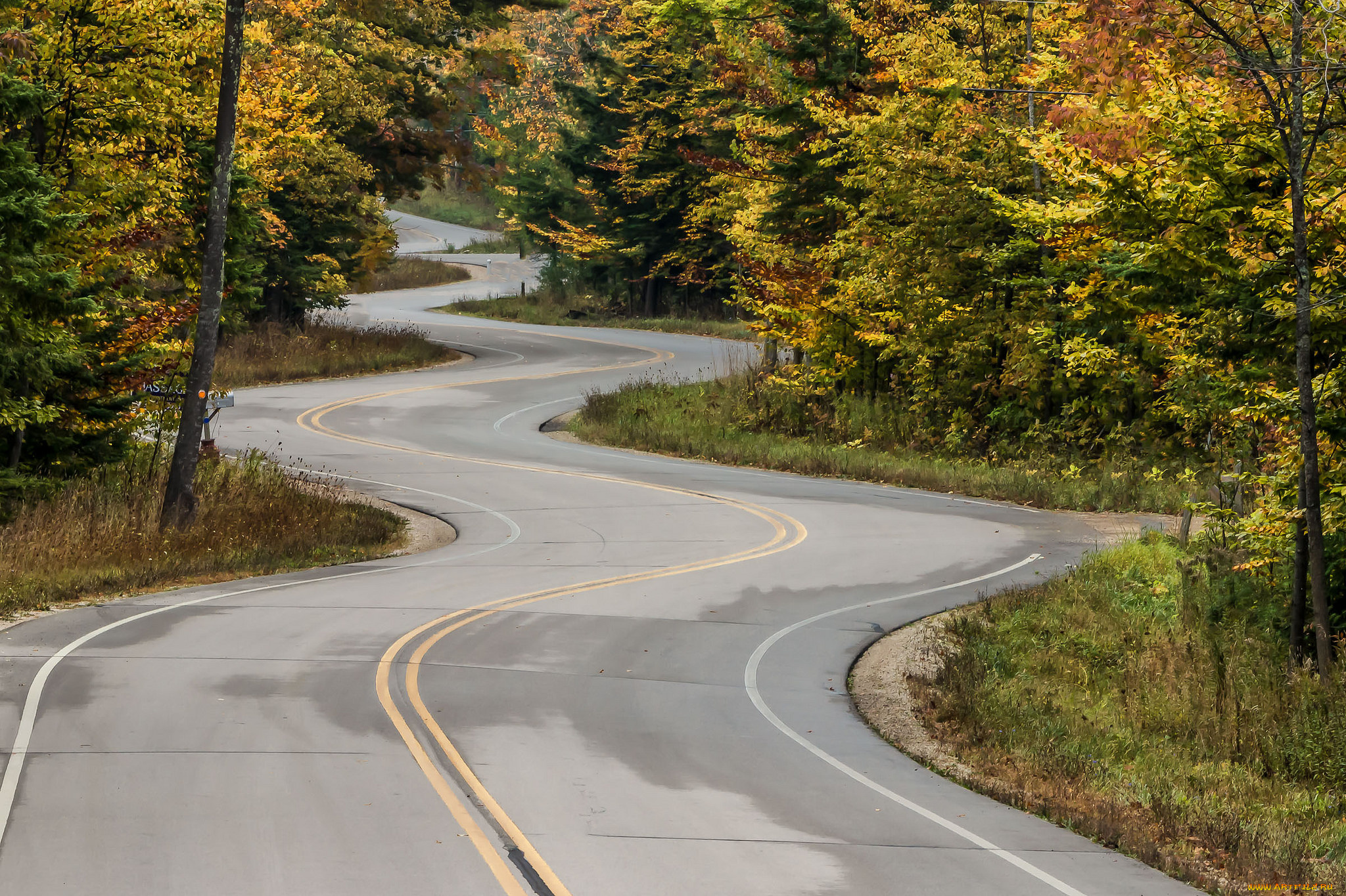 природа, дороги, простор