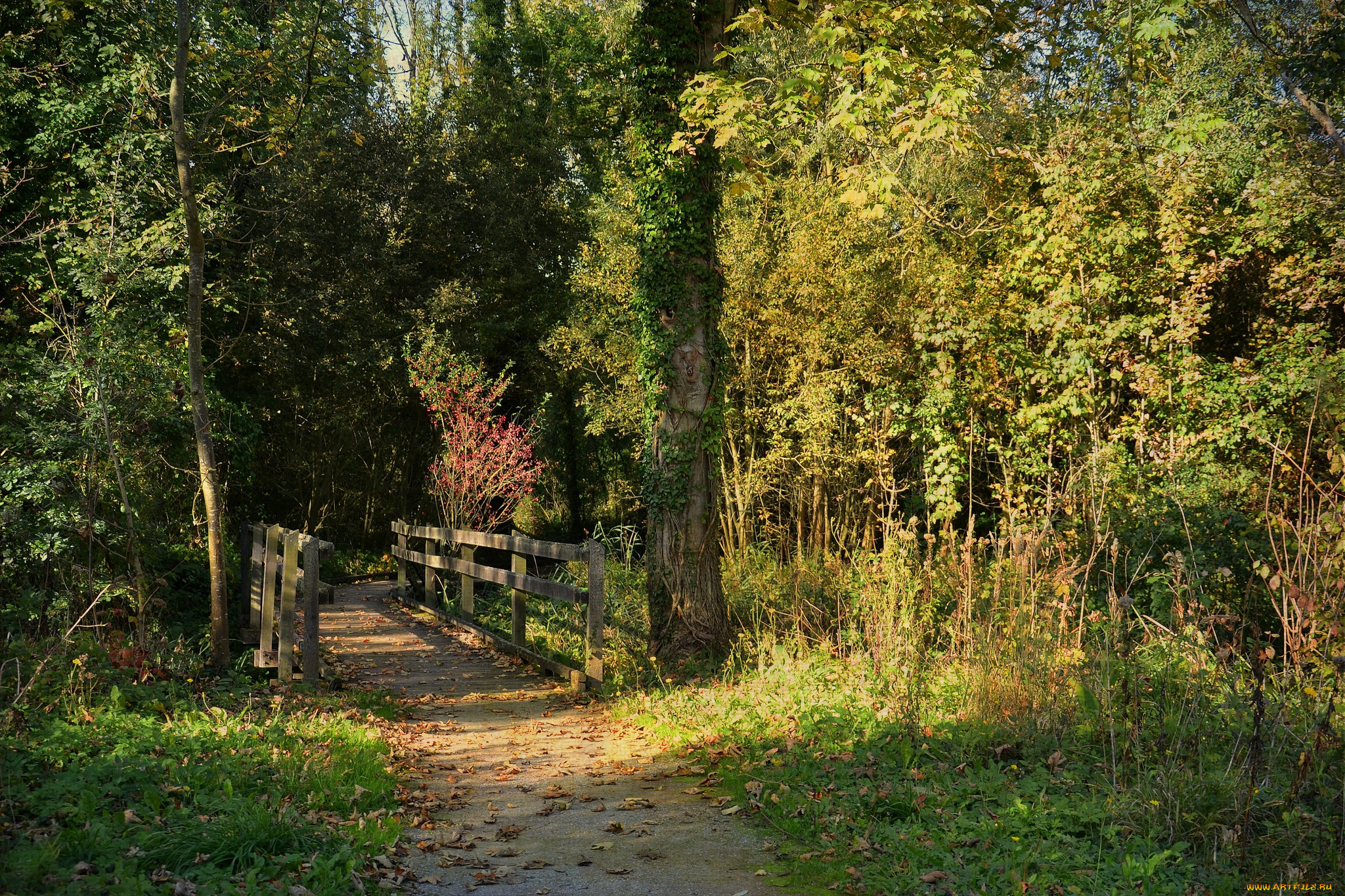 природа, дороги, простор