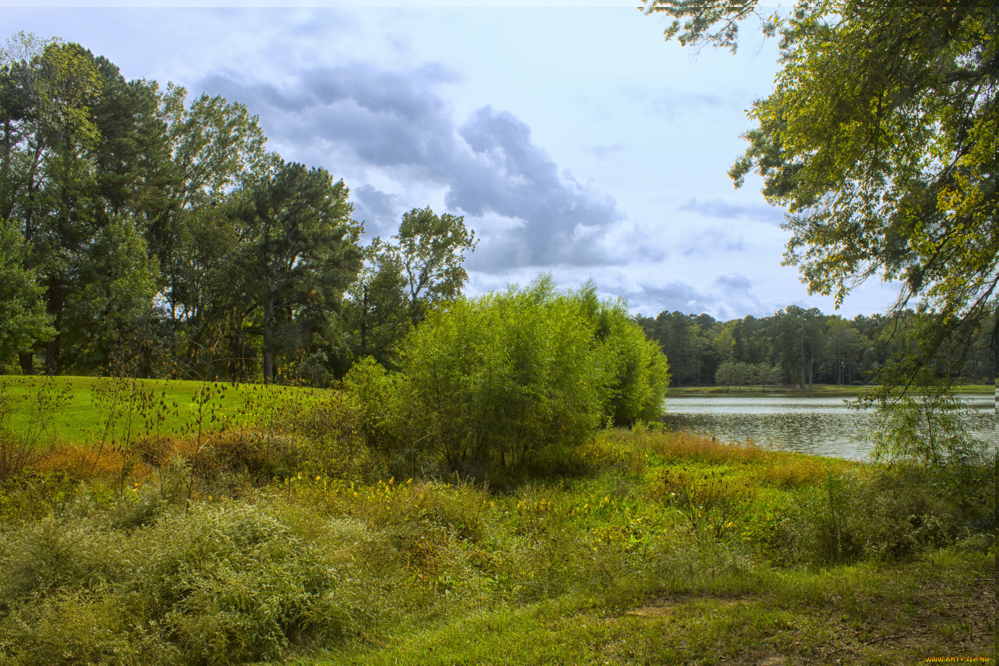 природа, пейзажи, простор
