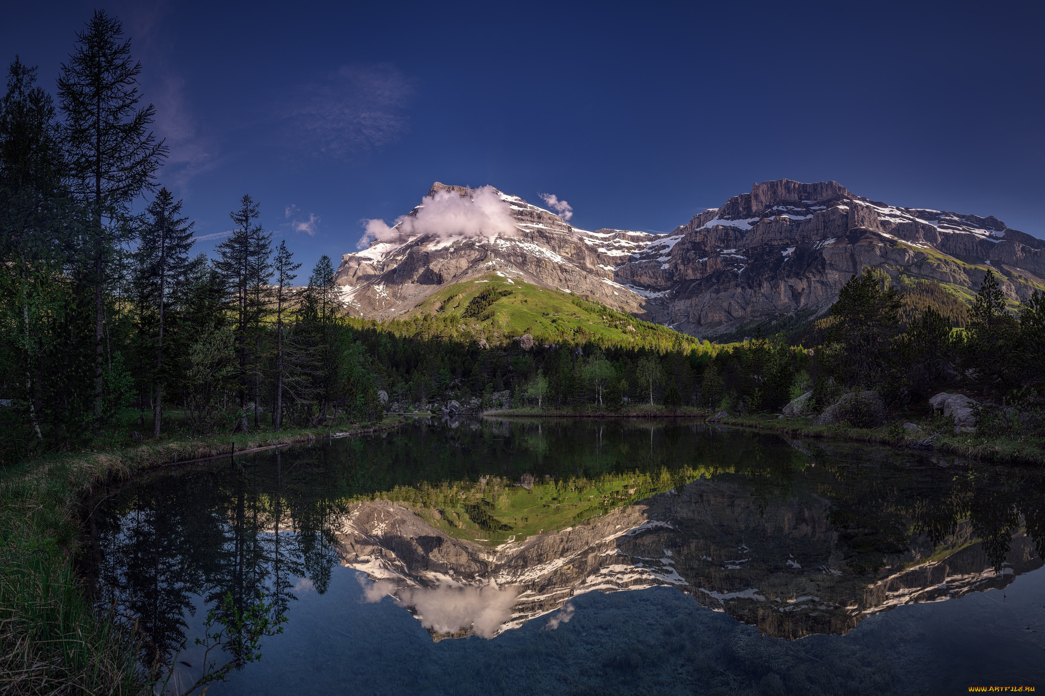 природа, реки, озера, лес, река