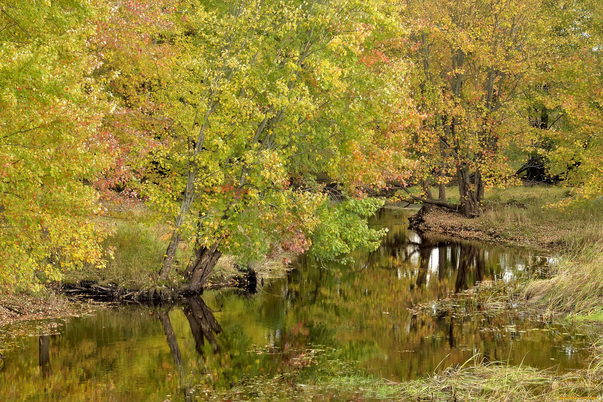 природа, реки, озера, простор