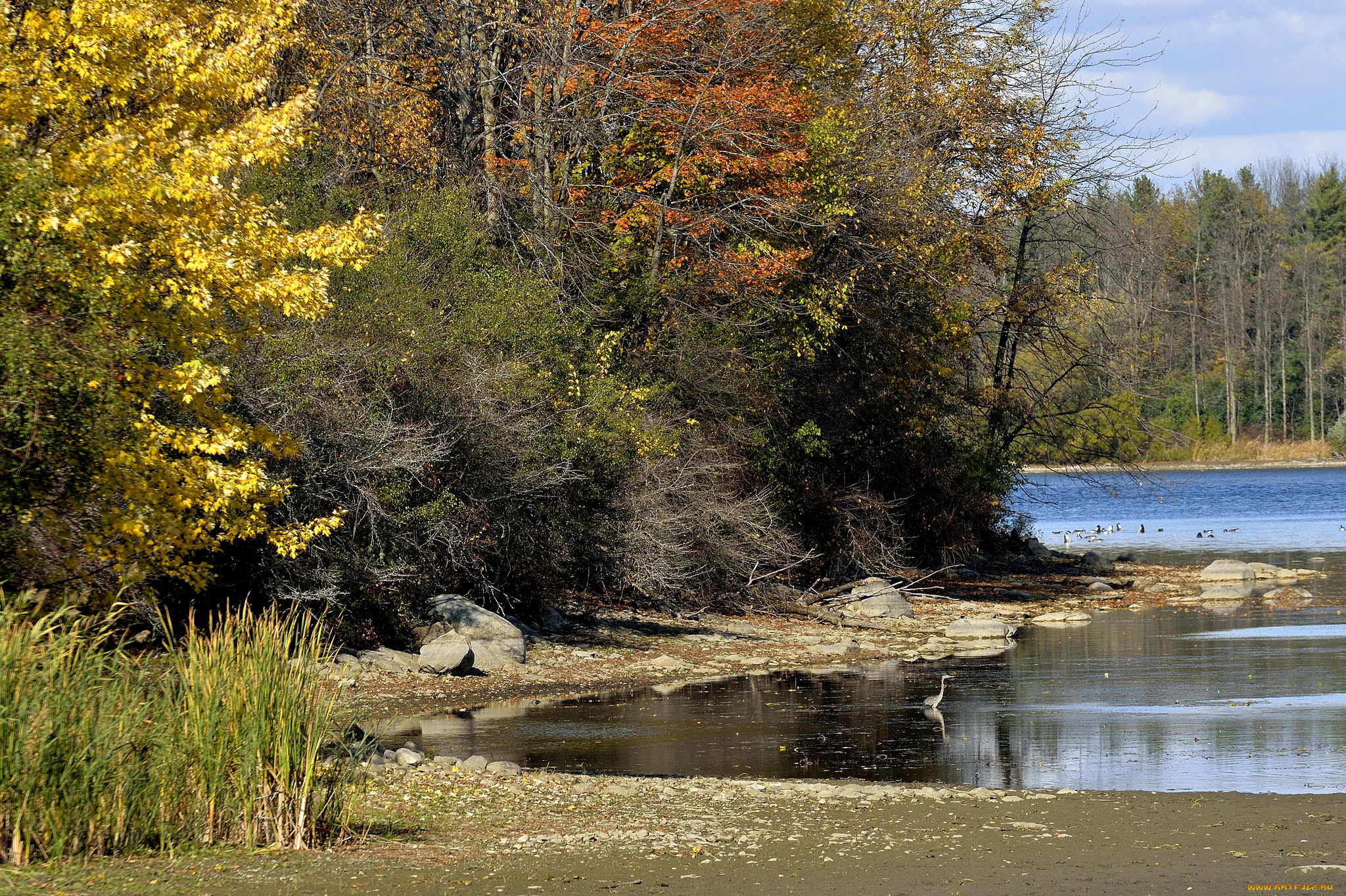 природа, реки, озера, простор