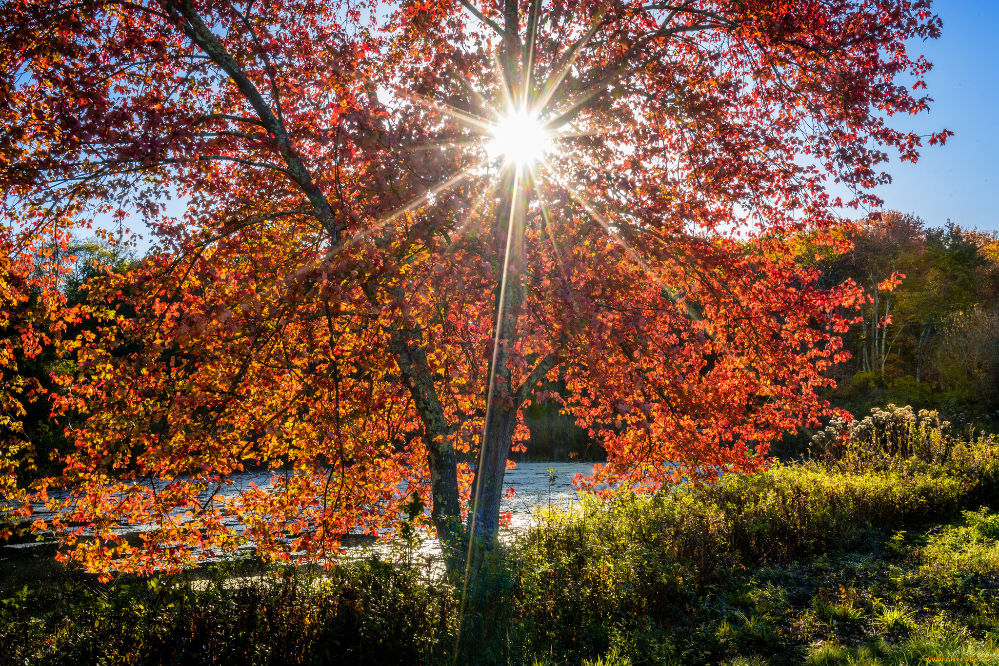 природа, восходы, закаты, простор