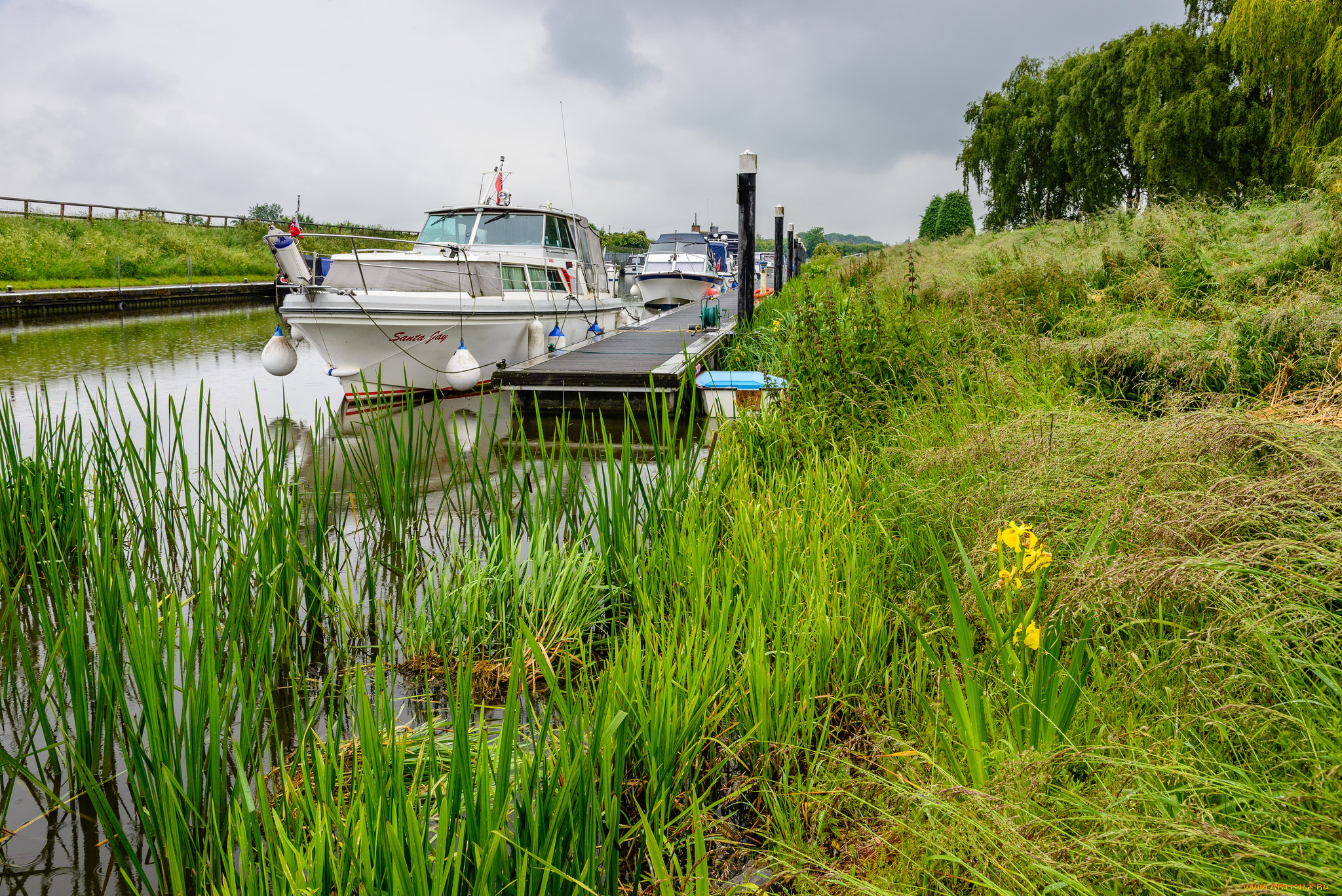 корабли, катера, судно