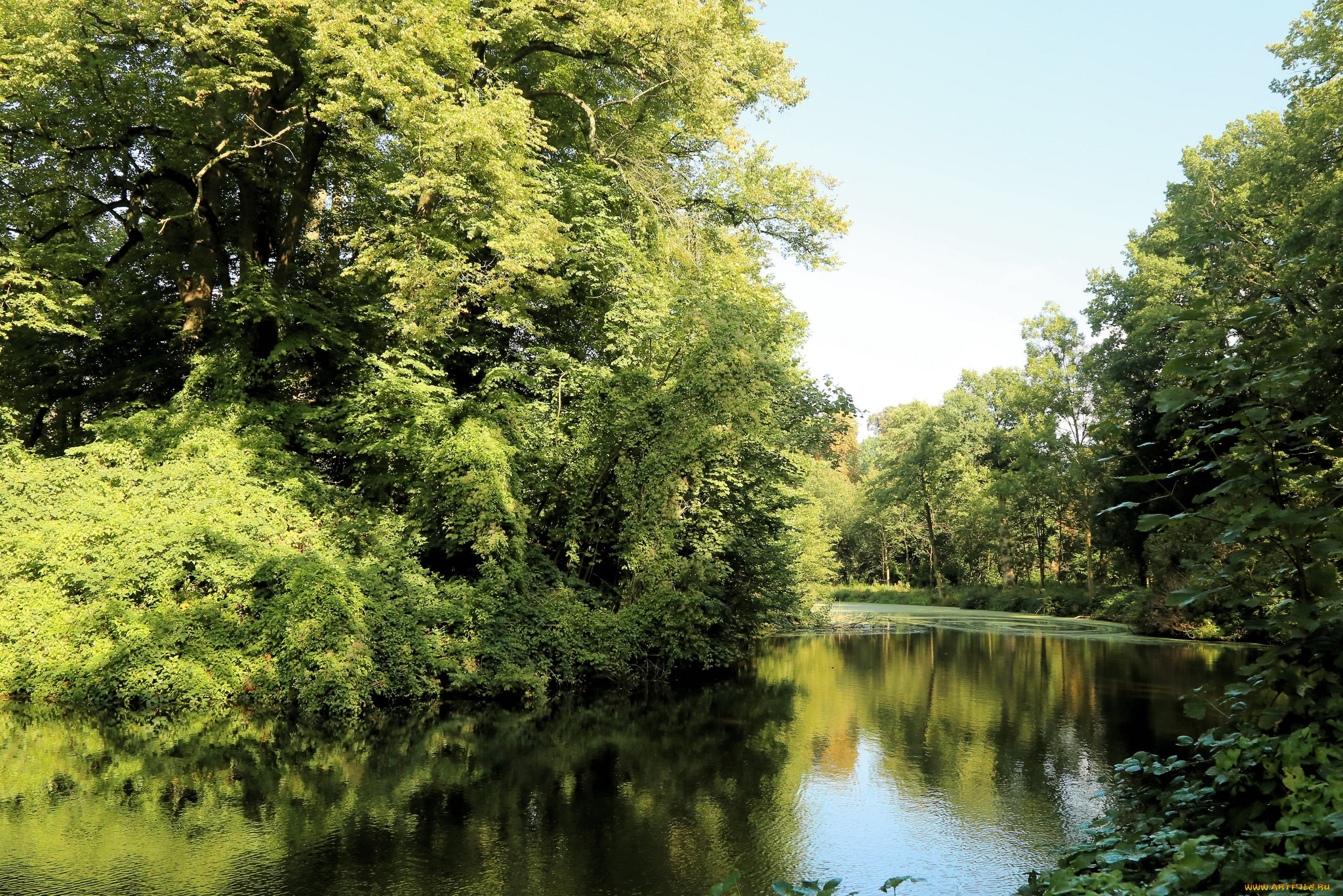 природа, реки, озера, простор