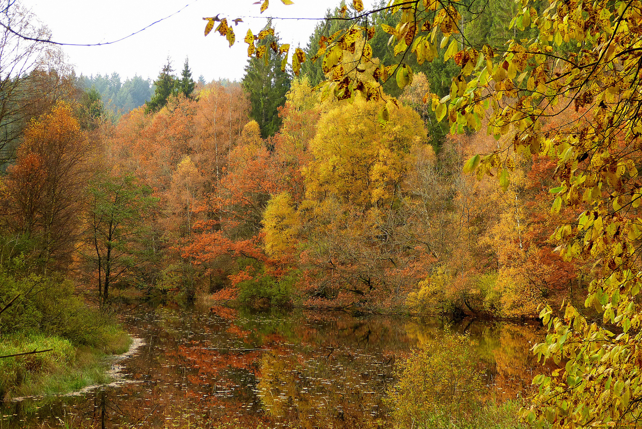 природа, реки, озера, простор