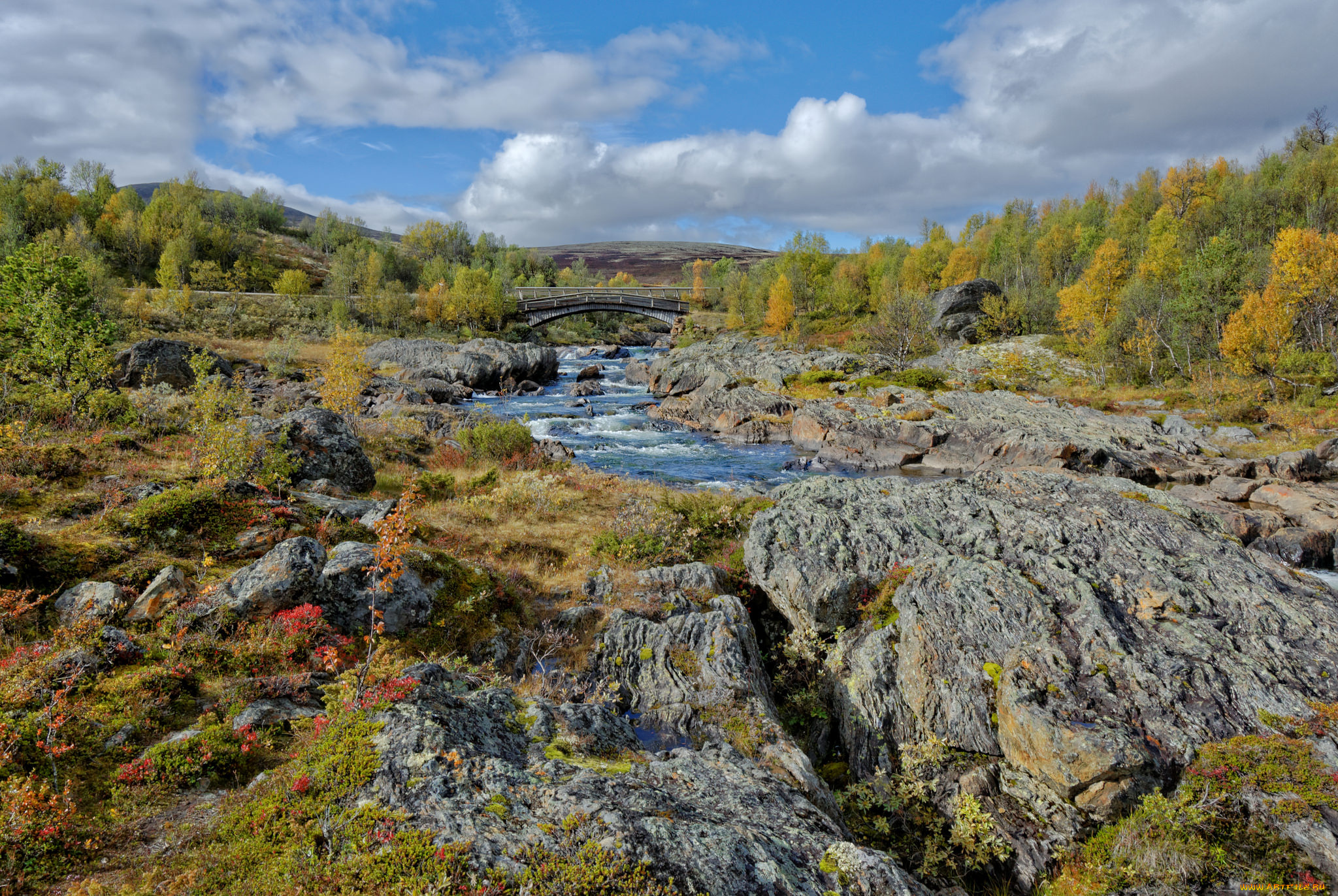 природа, пейзажи, простор