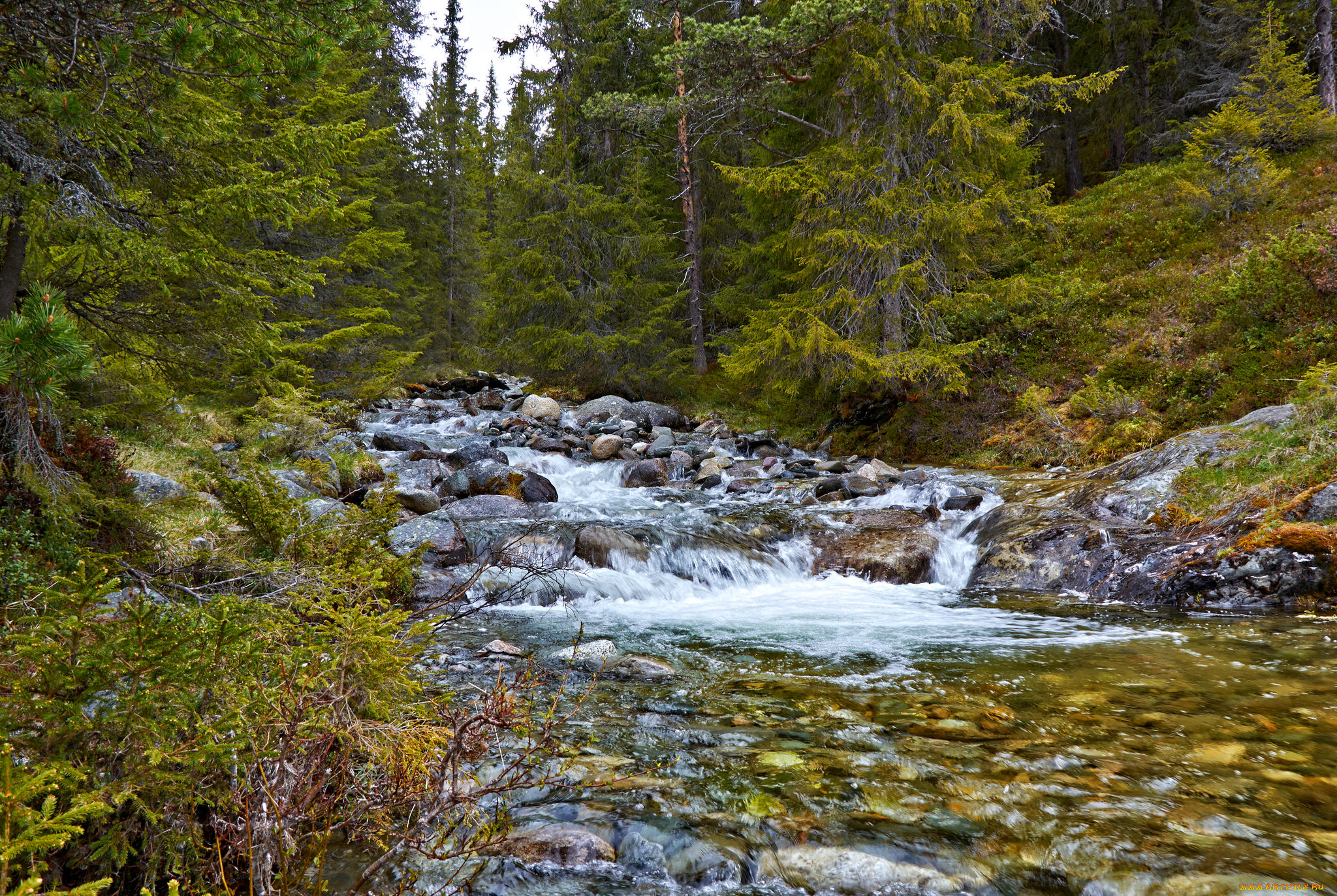 природа, реки, озера, простор