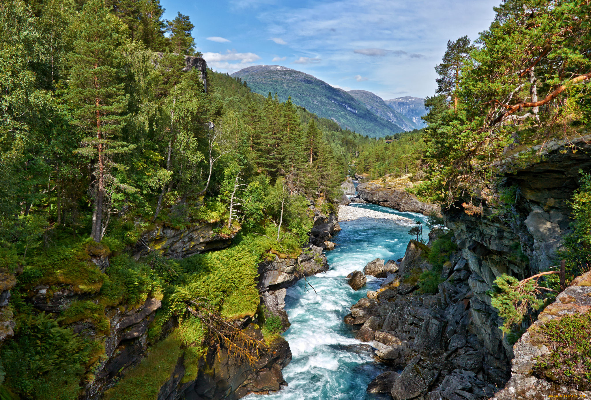 природа, реки, озера, простор