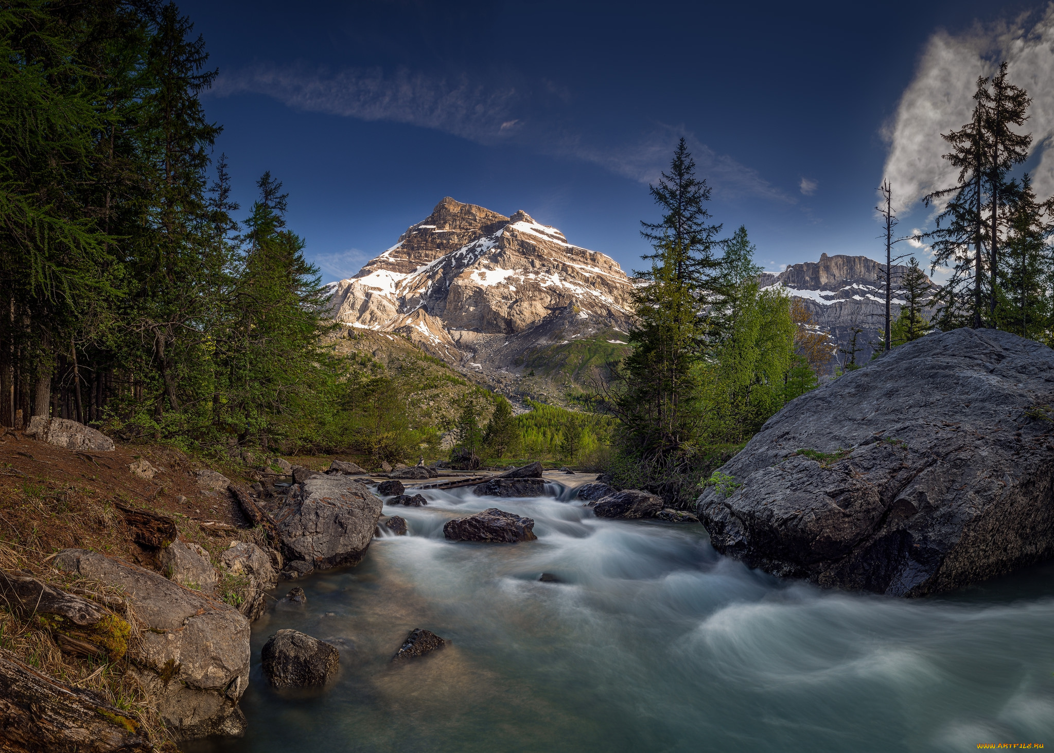 природа, реки, озера, река, лес