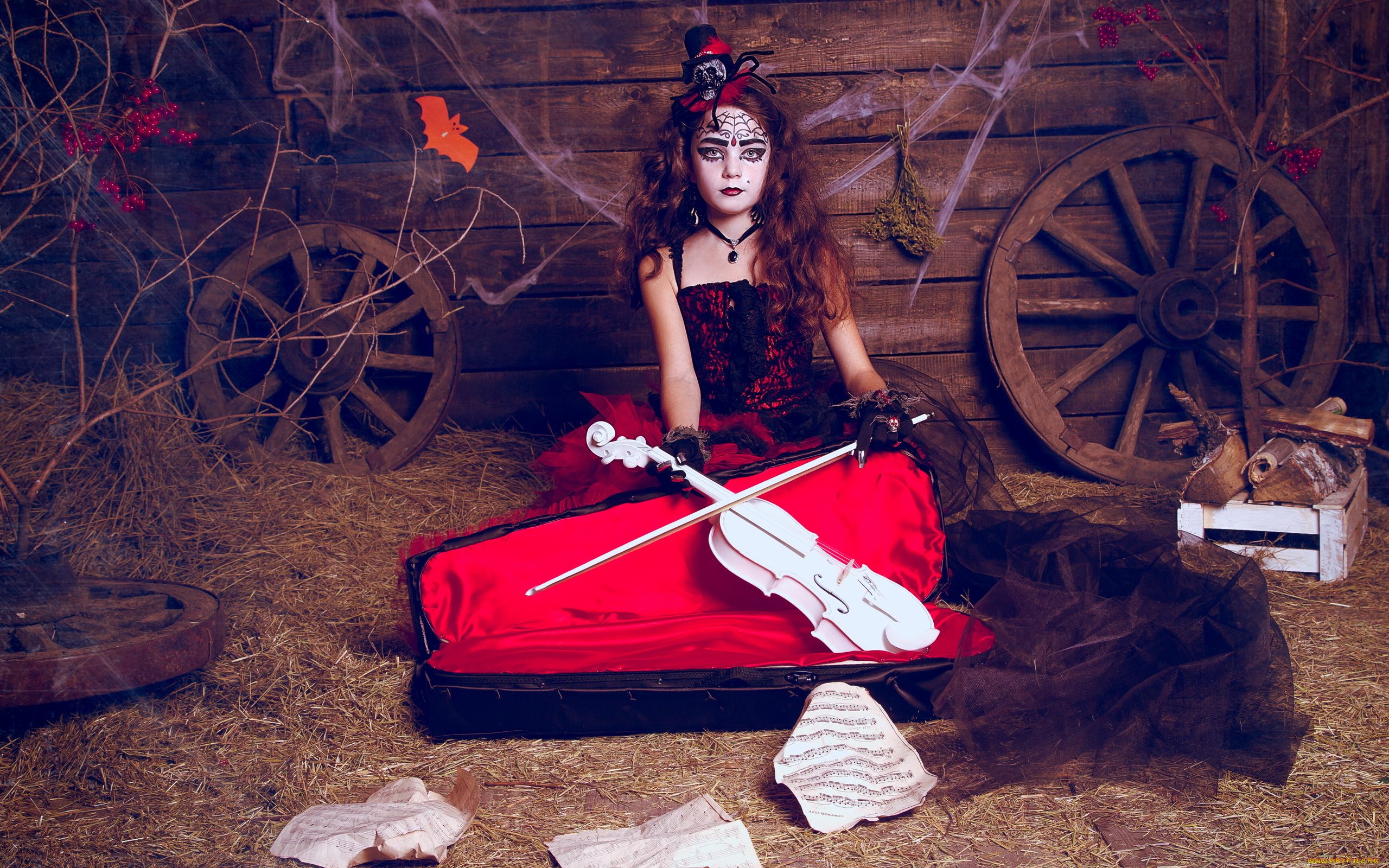 музыка, -, другое, девушка, скрипка