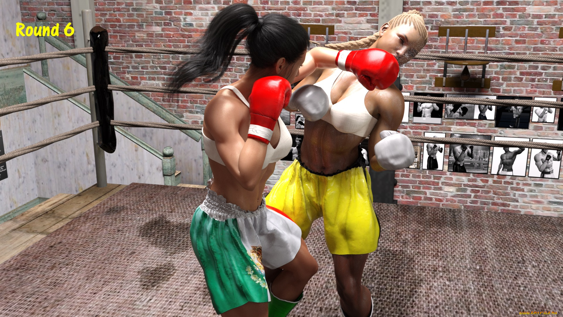 3д, графика, спорт, , sport, бокс, ринг, фон, взгляд, девушки