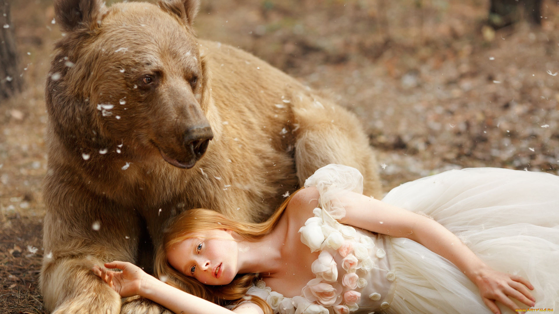 девушки, -unsort, , креатив, поза, платье, медведь, девочка, топтыгин, светлана, никотина